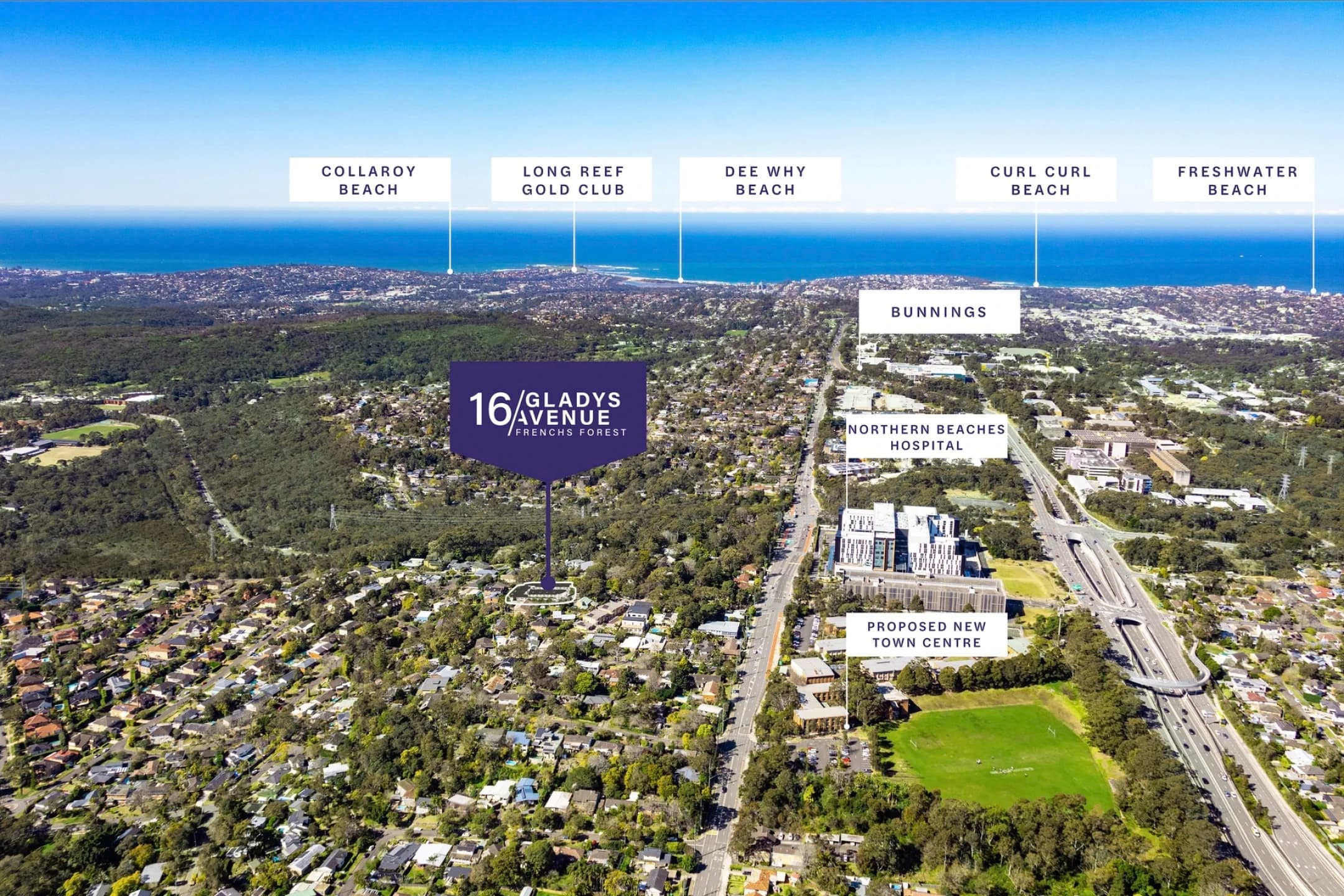 16 Gladys Avenue, Frenchs Forest NSW 2086, Frenchs Forest - Thumbnail 4