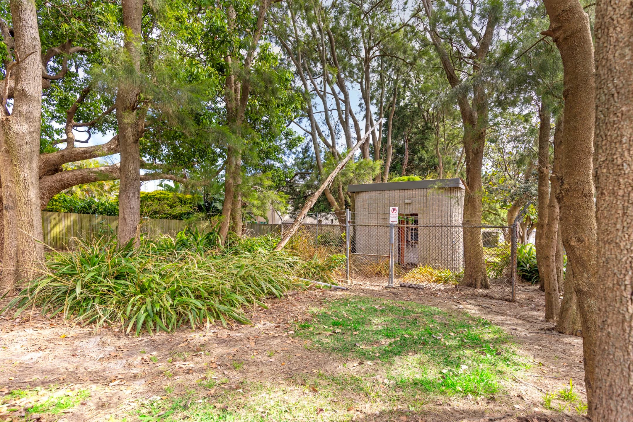 66 Griffin Road, North Curl Curl NSW 2099, Dee Why - Thumbnail 7