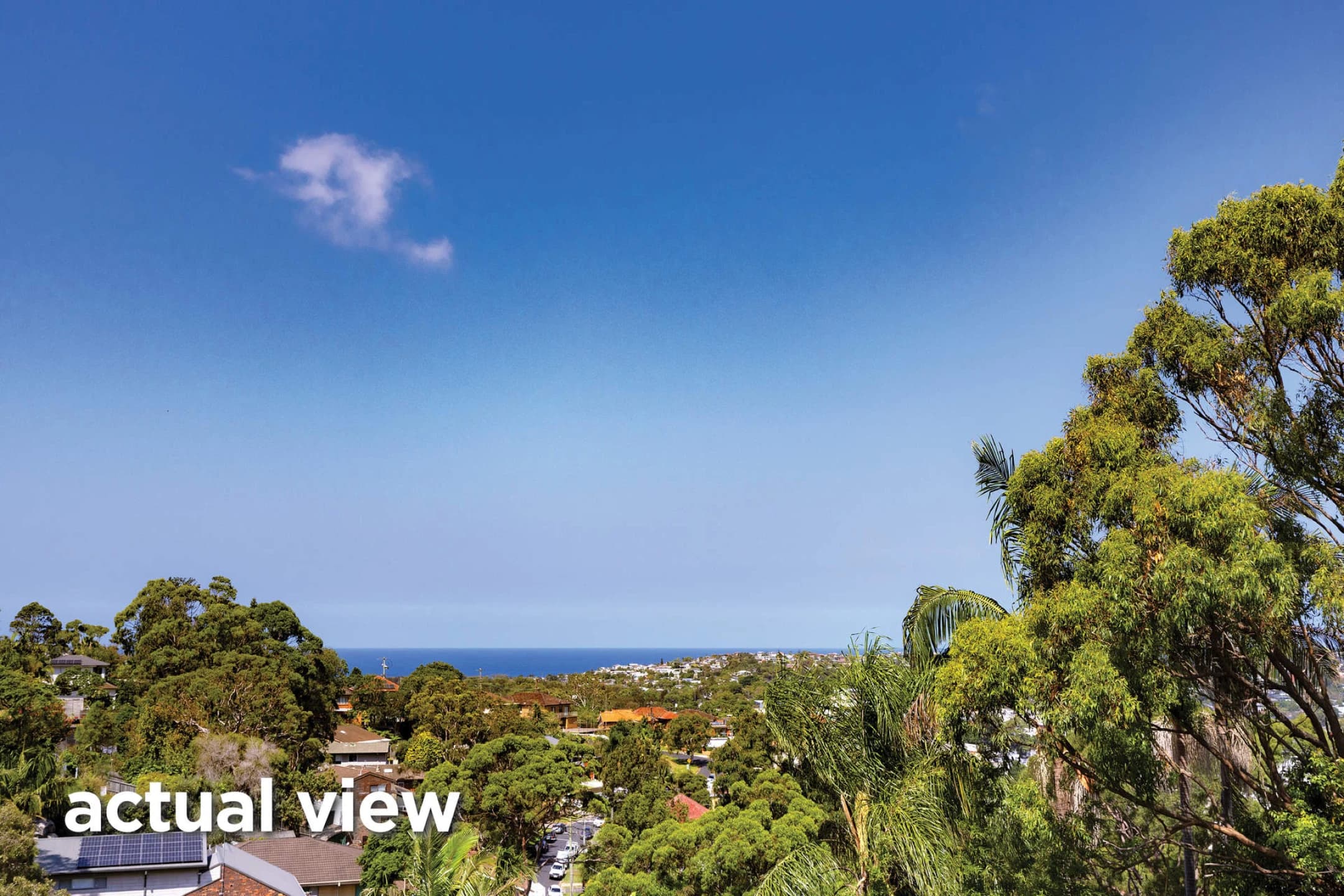 37 Beacon Avenue, Beacon Hill NSW 2100, Beacon Hill - Thumbnail 7