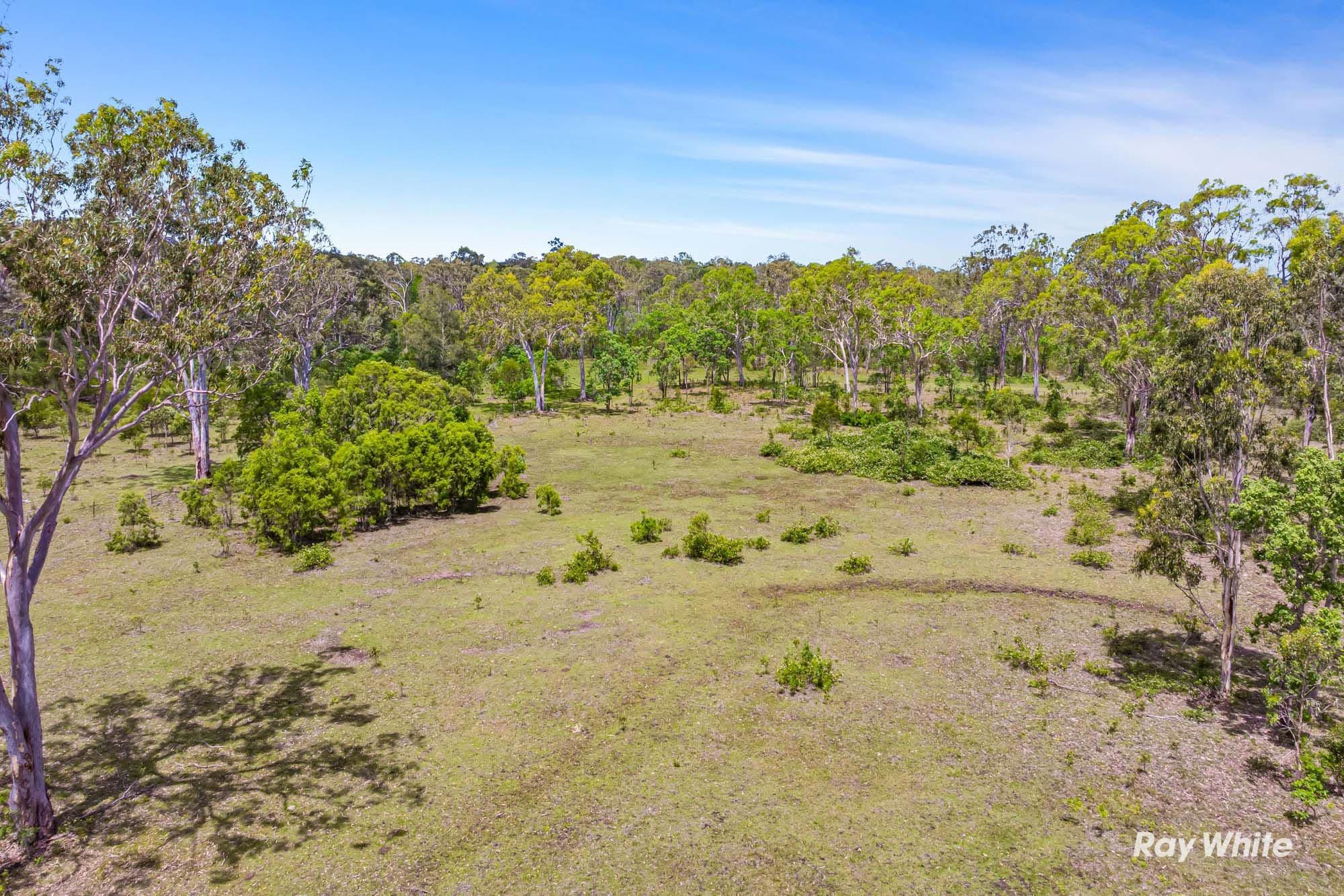 132 Vanderspek Road, Bondoola QLD 4703, Bondoola - Thumbnail 6