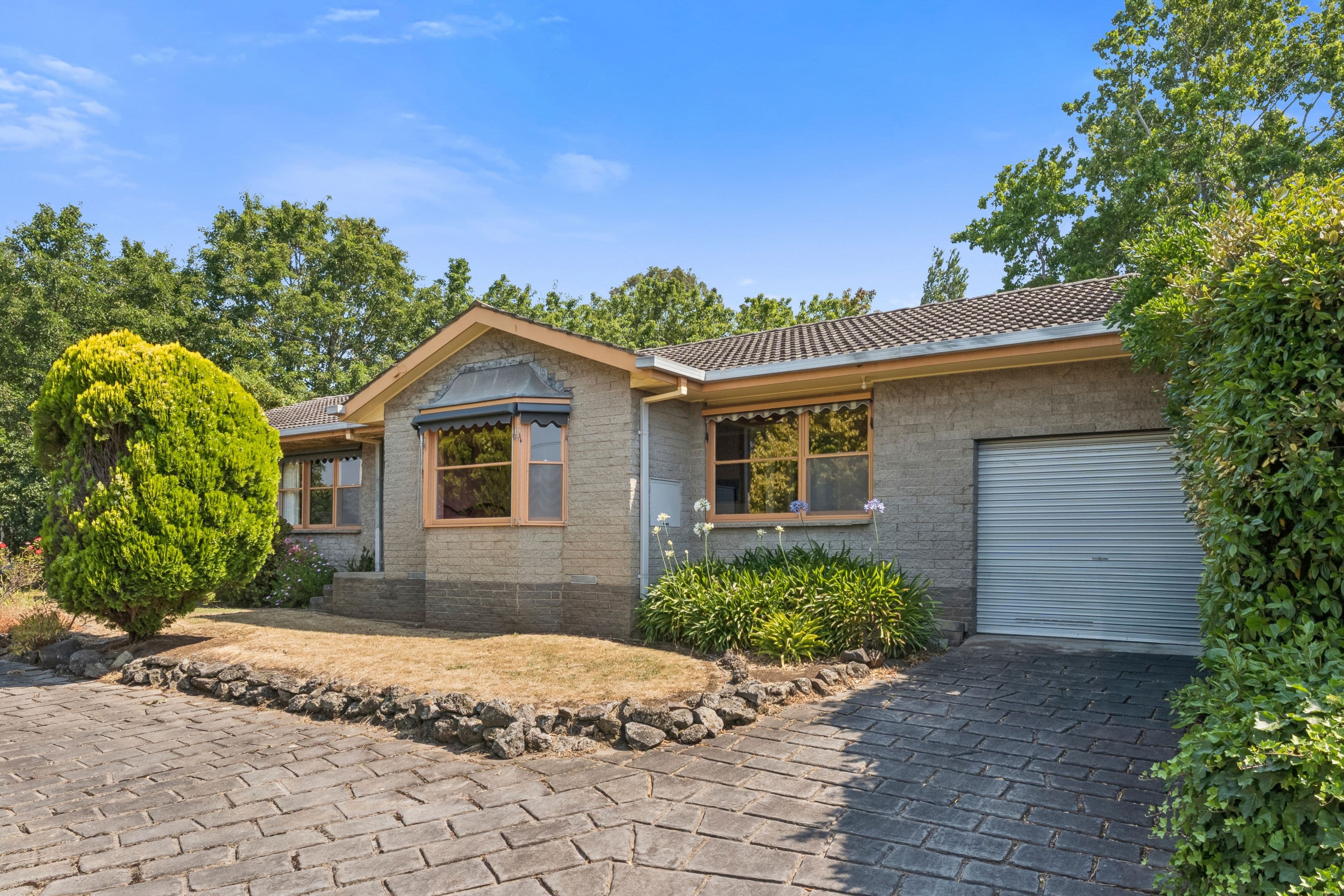 23 Dimora Avenue, Camperdown VIC 3260, Camperdown - Thumbnail 2