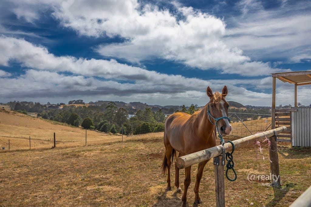 1171 Ridgley Highway, Ridgley, TAS, 7321, Ridgley - Thumbnail 3