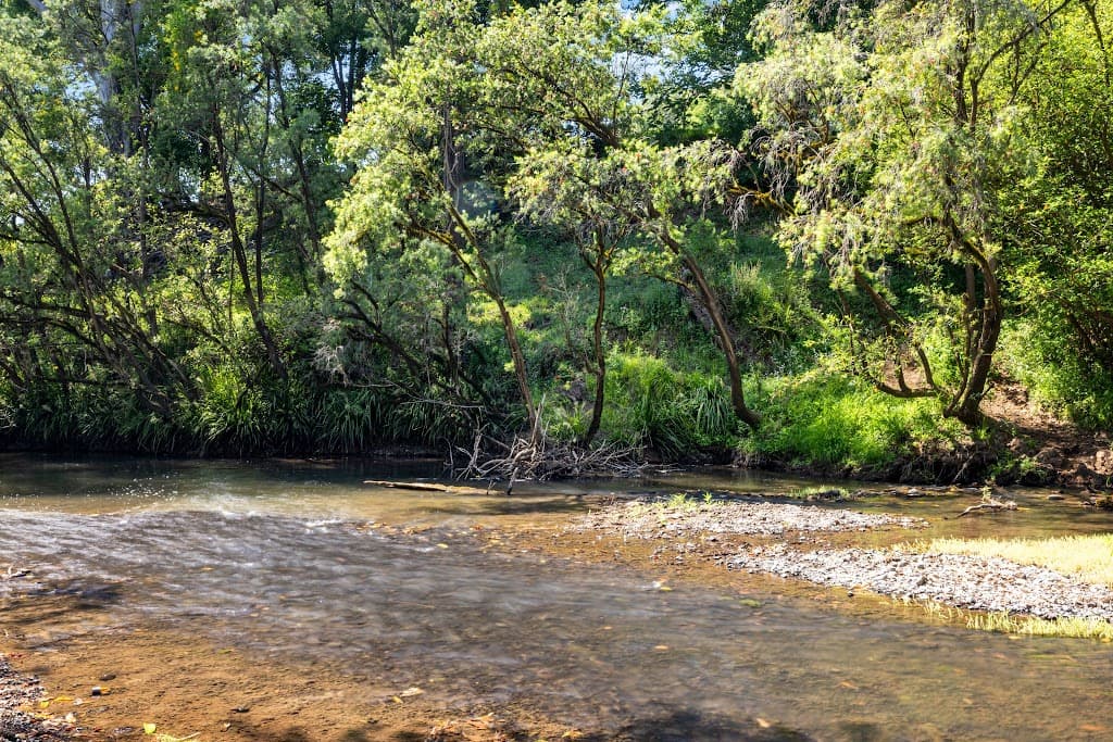 25 Chelmsford Road, Rock Valley, NSW, 2480, Rock Valley - Thumbnail 5