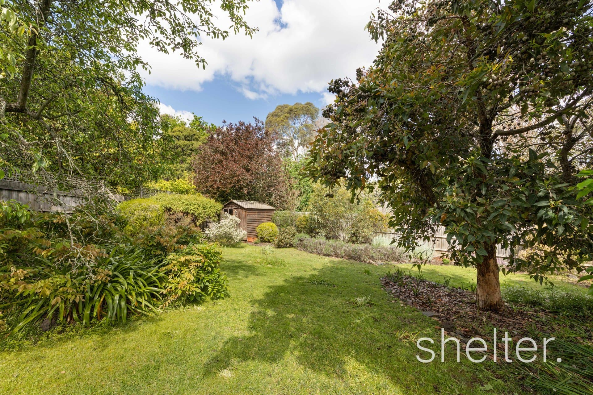 24 Audrey Crescent Glen Iris, Glen Iris - Thumbnail 6