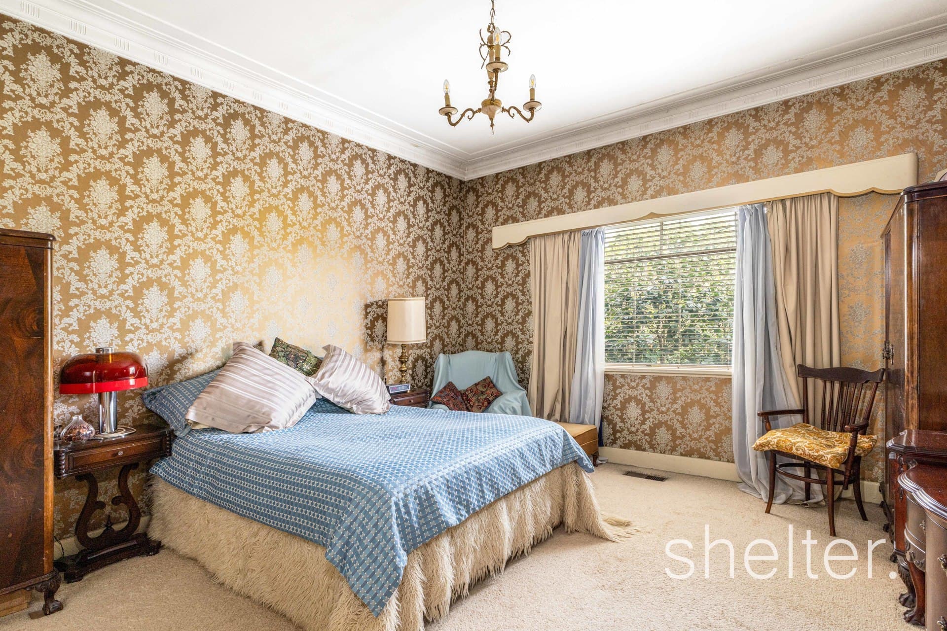 133 High Street Glen Iris, Glen Iris - Thumbnail 6