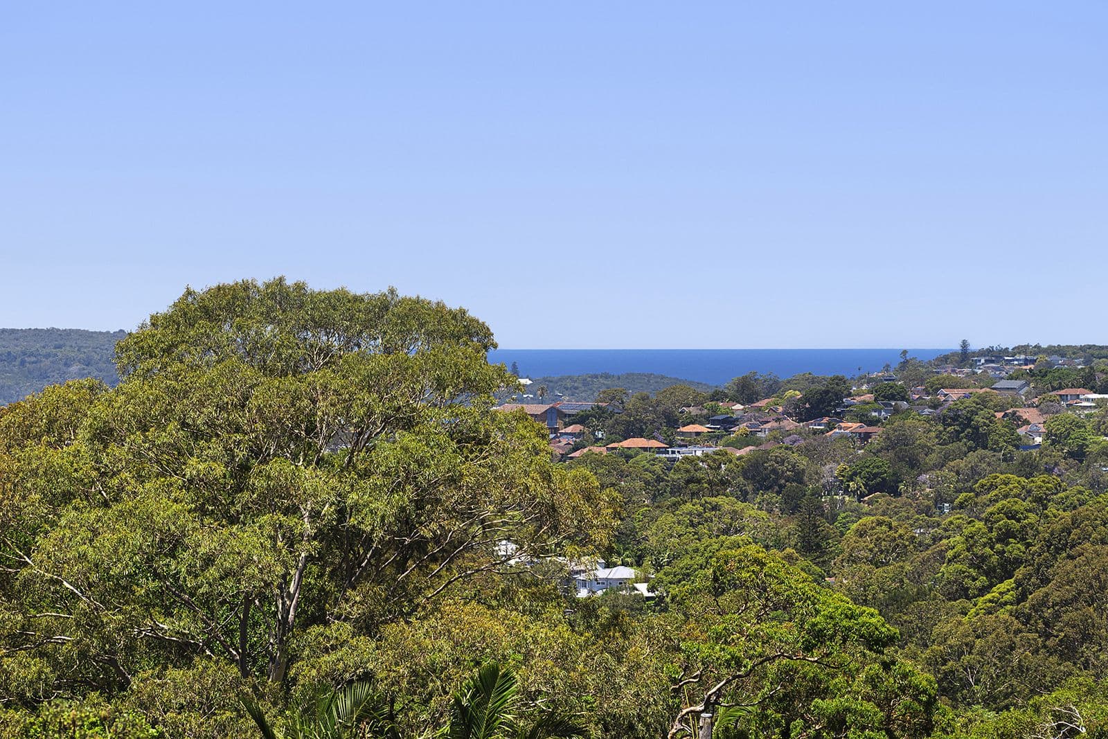 8 Waterview Street, Seaforth NSW, Seaforth - Thumbnail 4