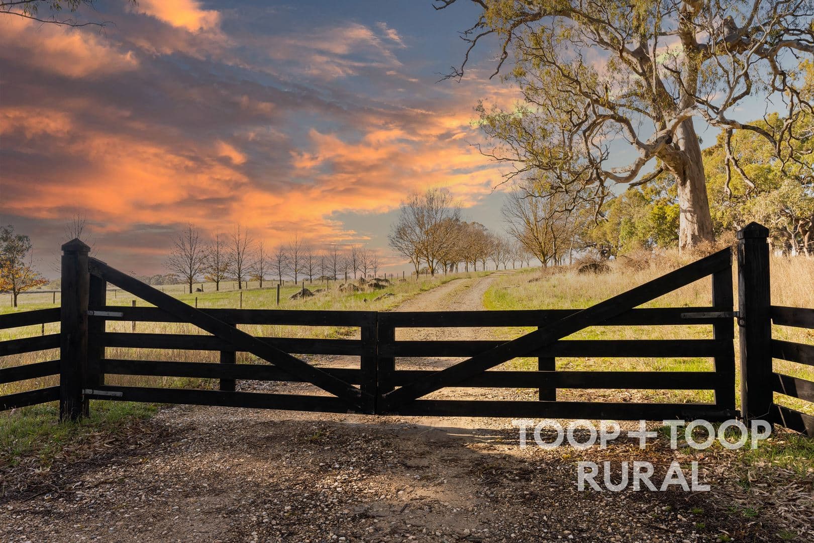 232 Brownes Road, Pewsey Vale SA 5351, Pewsey Vale - Image 1