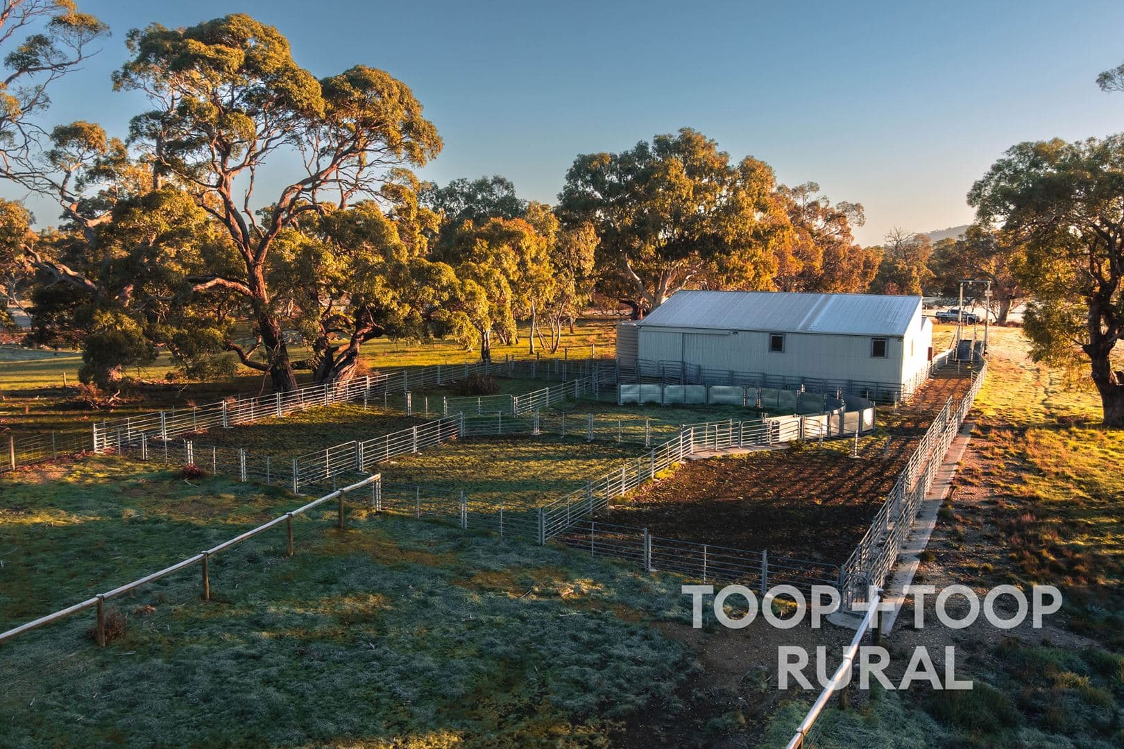 232 Brownes Road, Pewsey Vale SA 5351, Pewsey Vale - Thumbnail 4