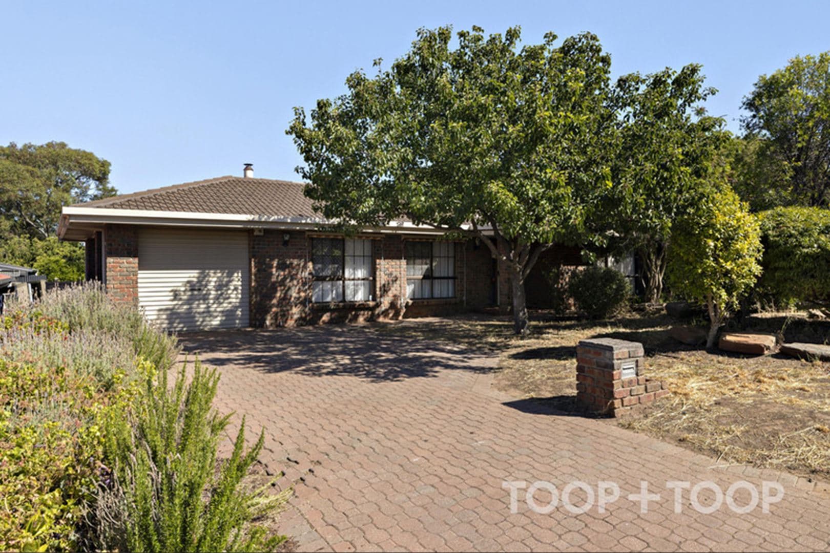 10 Sauvignon Court,Wynn Vale SA 5127, Wynn Vale - Image 1