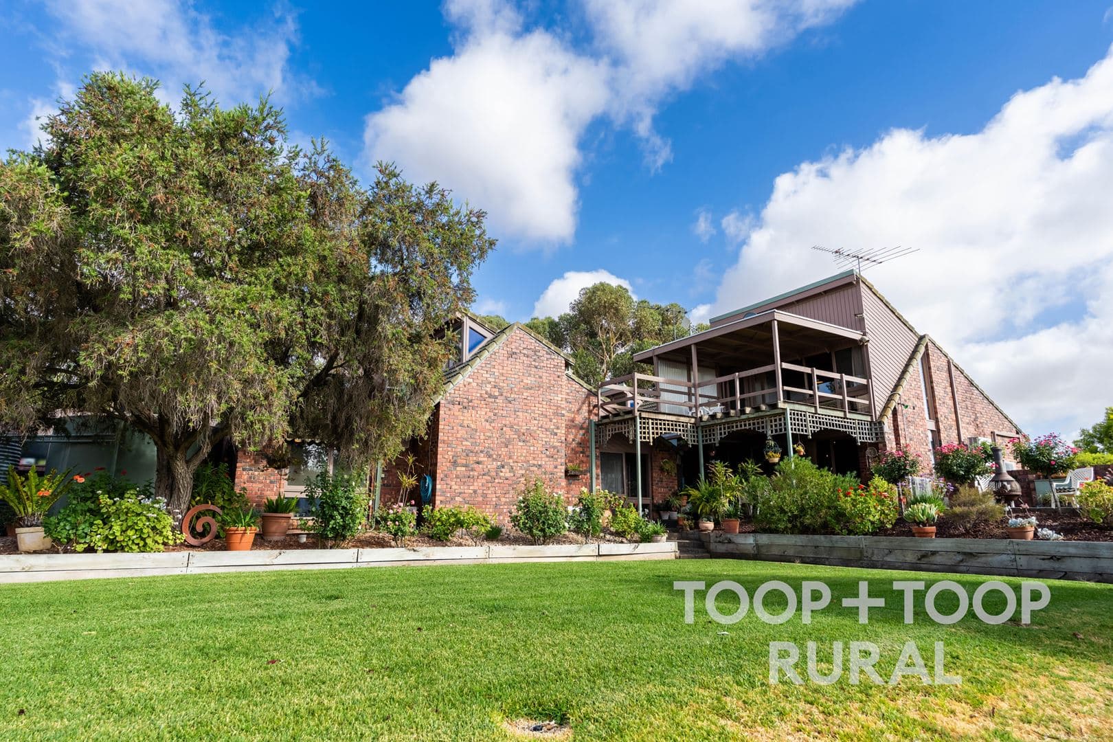 145 Tolley Road, Nuriootpa SA 5355, Nuriootpa - Thumbnail 2