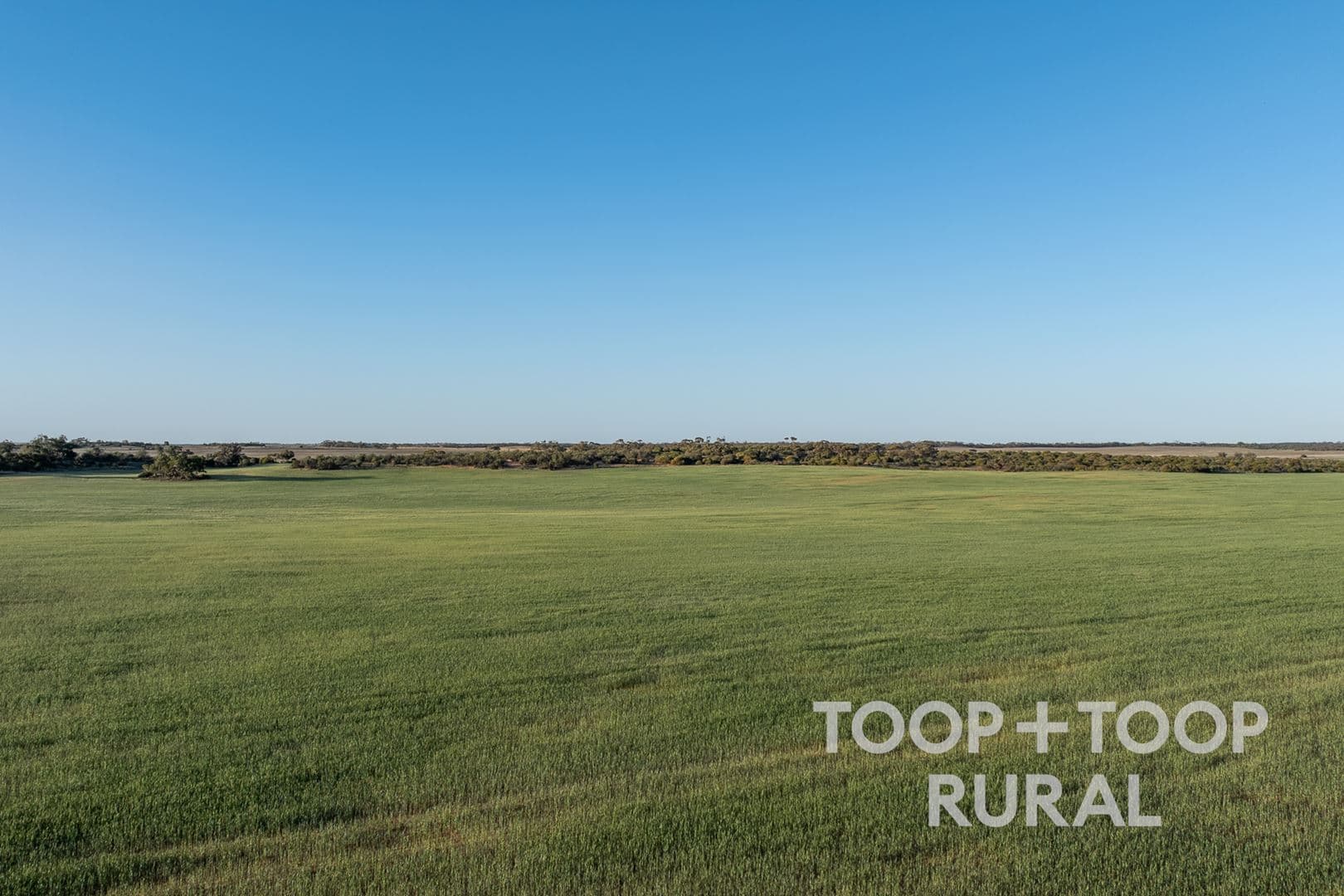 Lot 499 Murbko Road, Murbko SA 5320, Murbko - Thumbnail 5