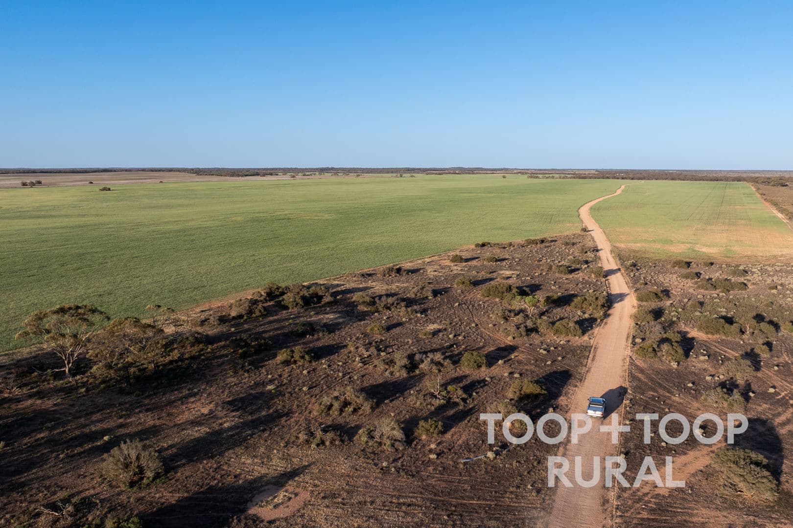 Lot 499 Murbko Road, Murbko SA 5320, Murbko - Thumbnail 6