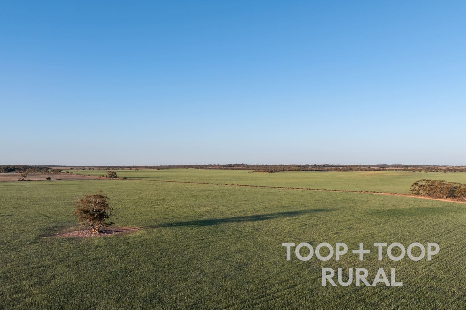 Lot 499 Murbko Road, Murbko SA 5320, Murbko - Thumbnail 7