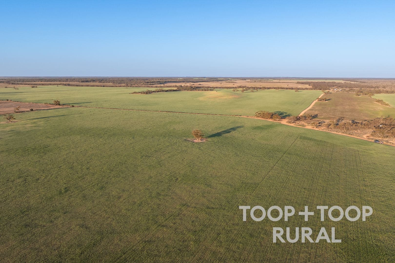 Lot 499 Murbko Road, Murbko SA 5320, Murbko - Thumbnail 8