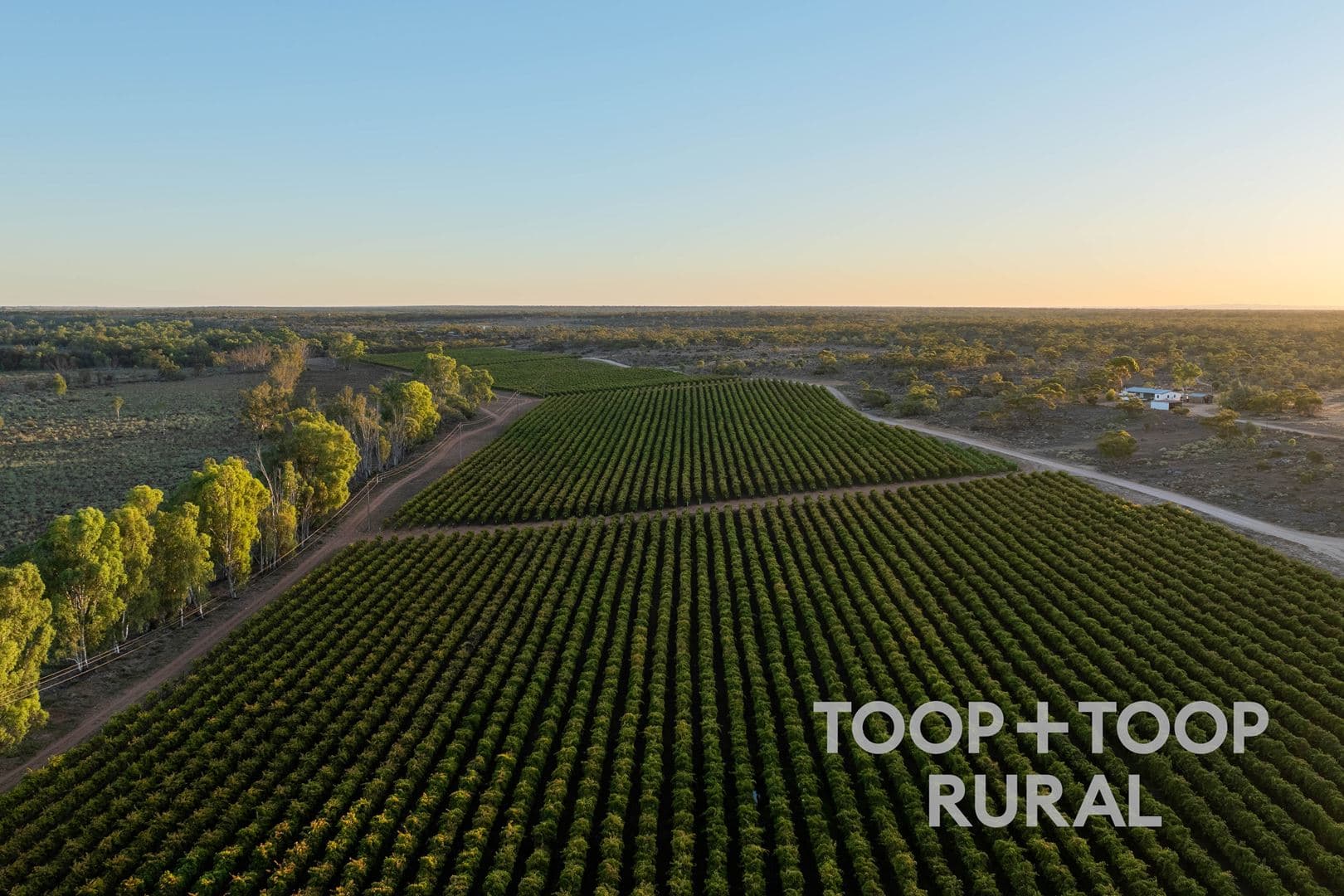 365 Murraylands Road, Morgan SA 5320, Morgan - Thumbnail 6