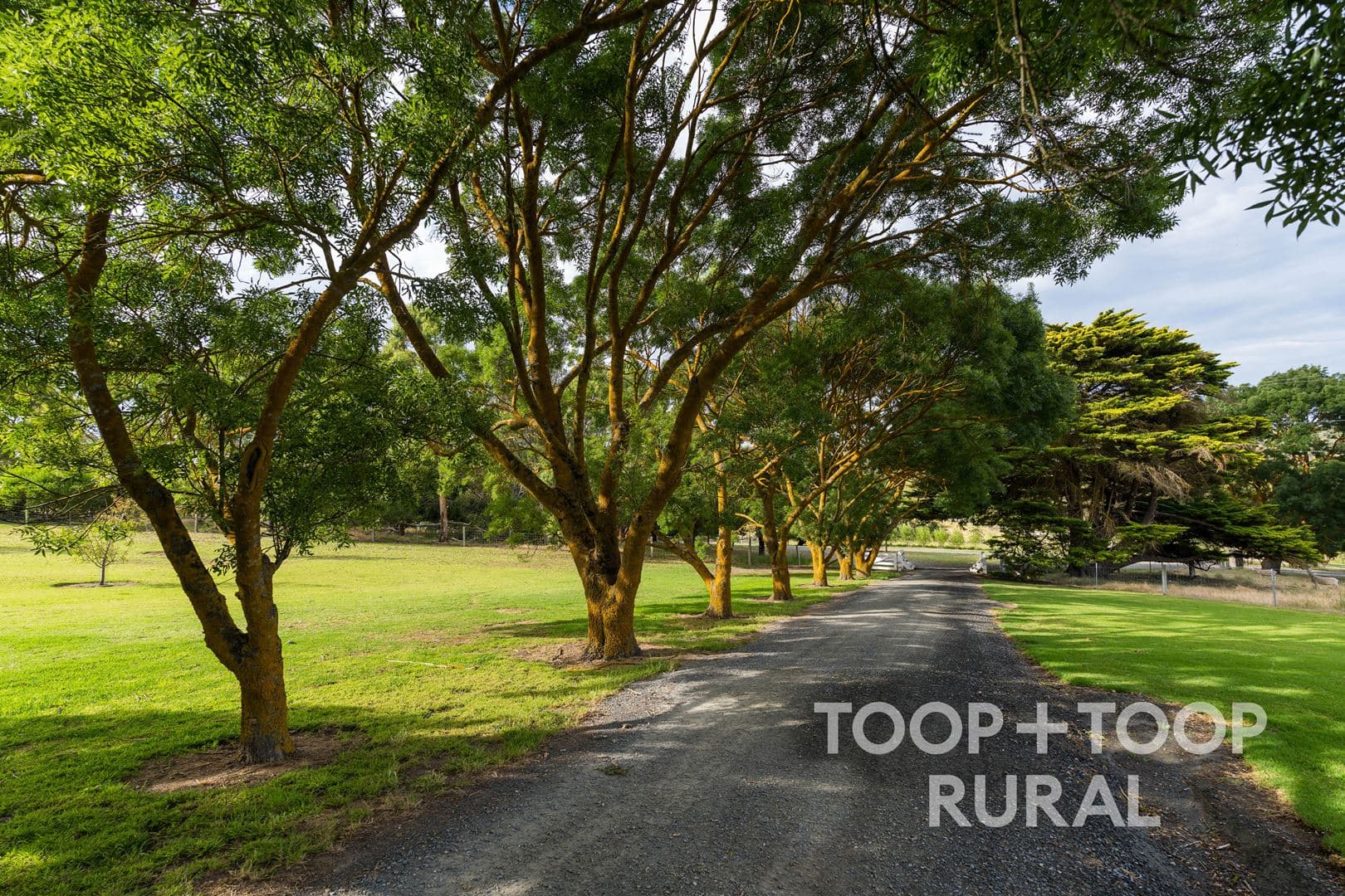 70 Scottsburn Road, Woodside SA 5244, Woodside - Thumbnail 4