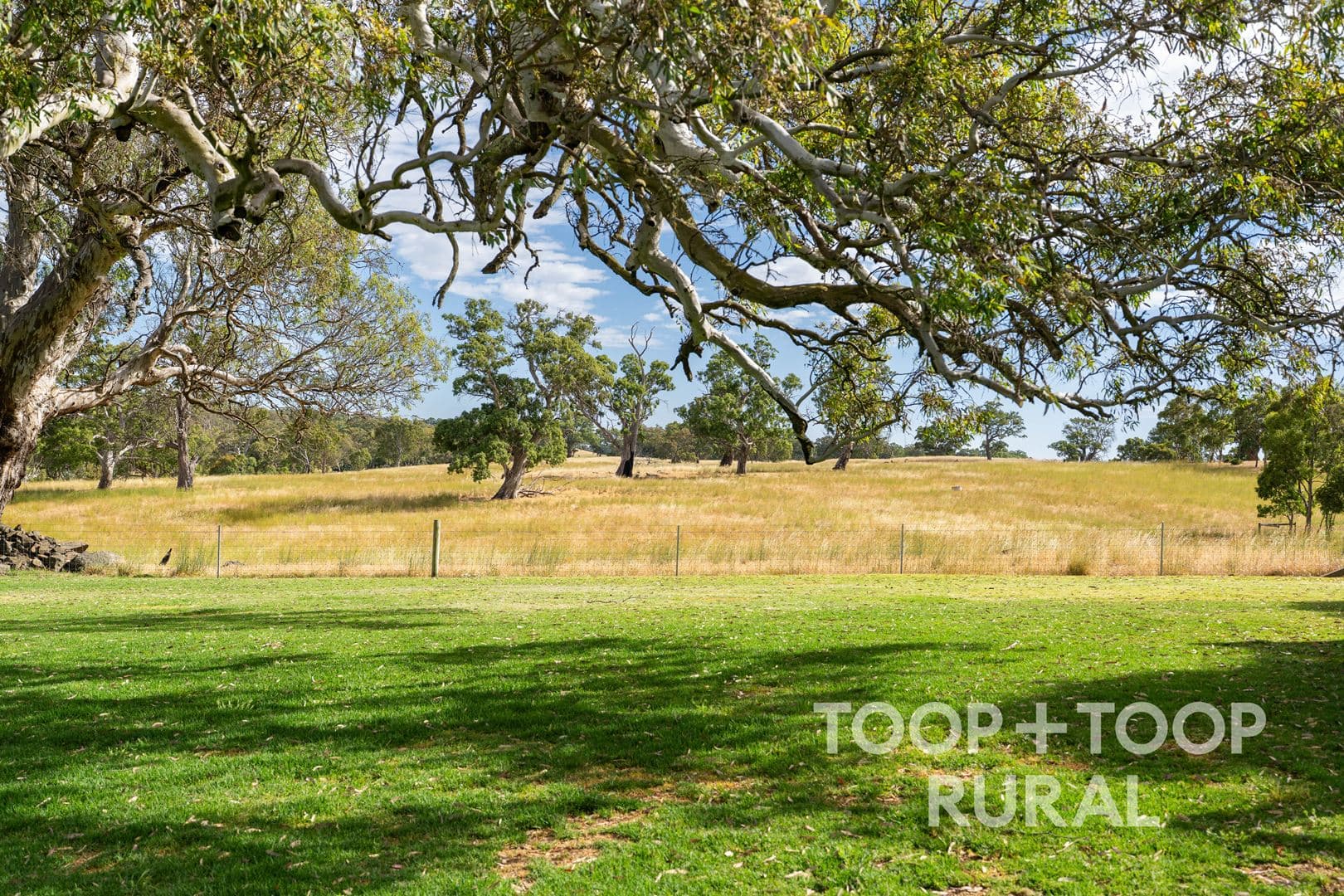 70 Scottsburn Road, Woodside SA 5244, Woodside - Thumbnail 6