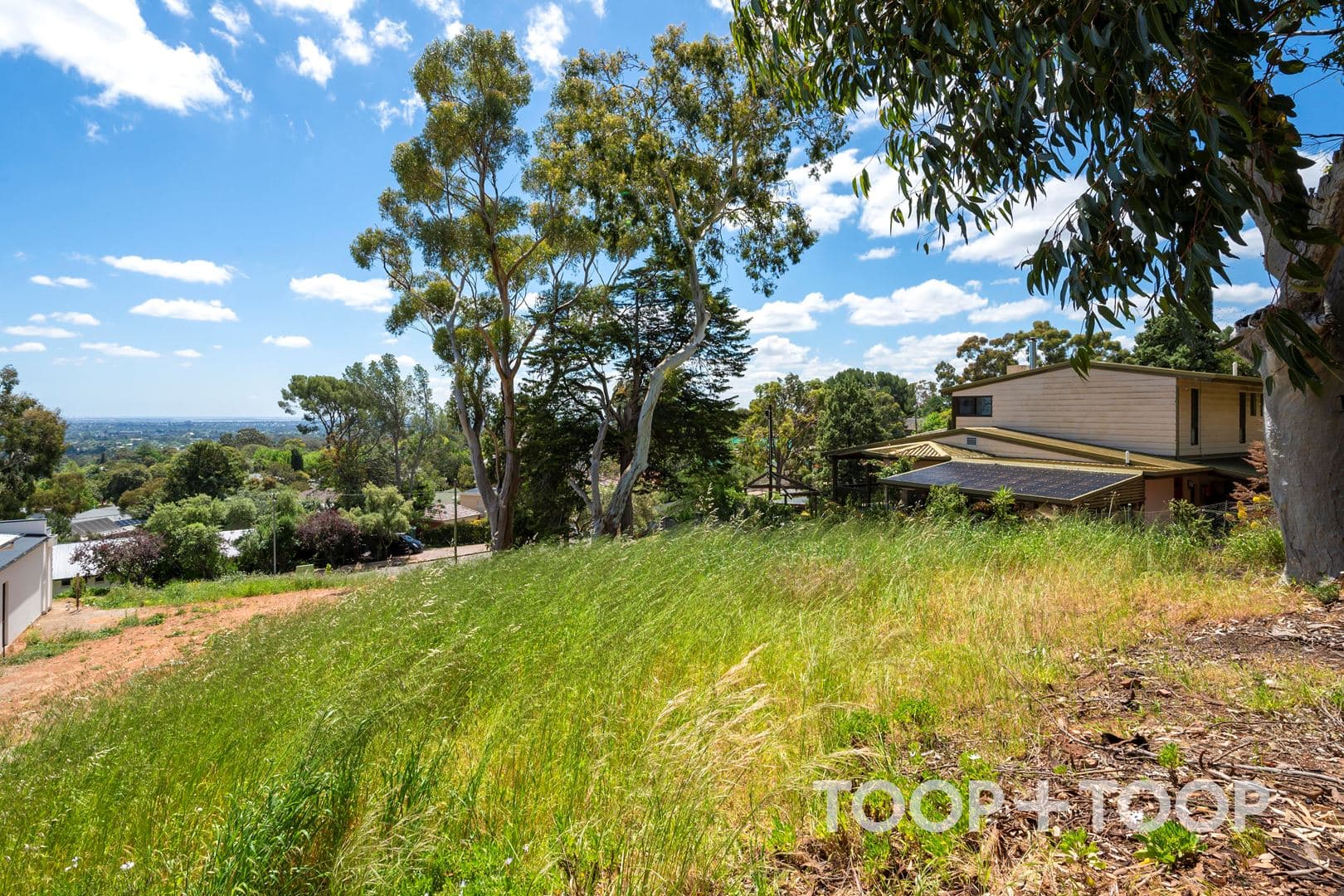 38 Tennyson Drive, Beaumont SA 5066, Beaumont - Thumbnail 6