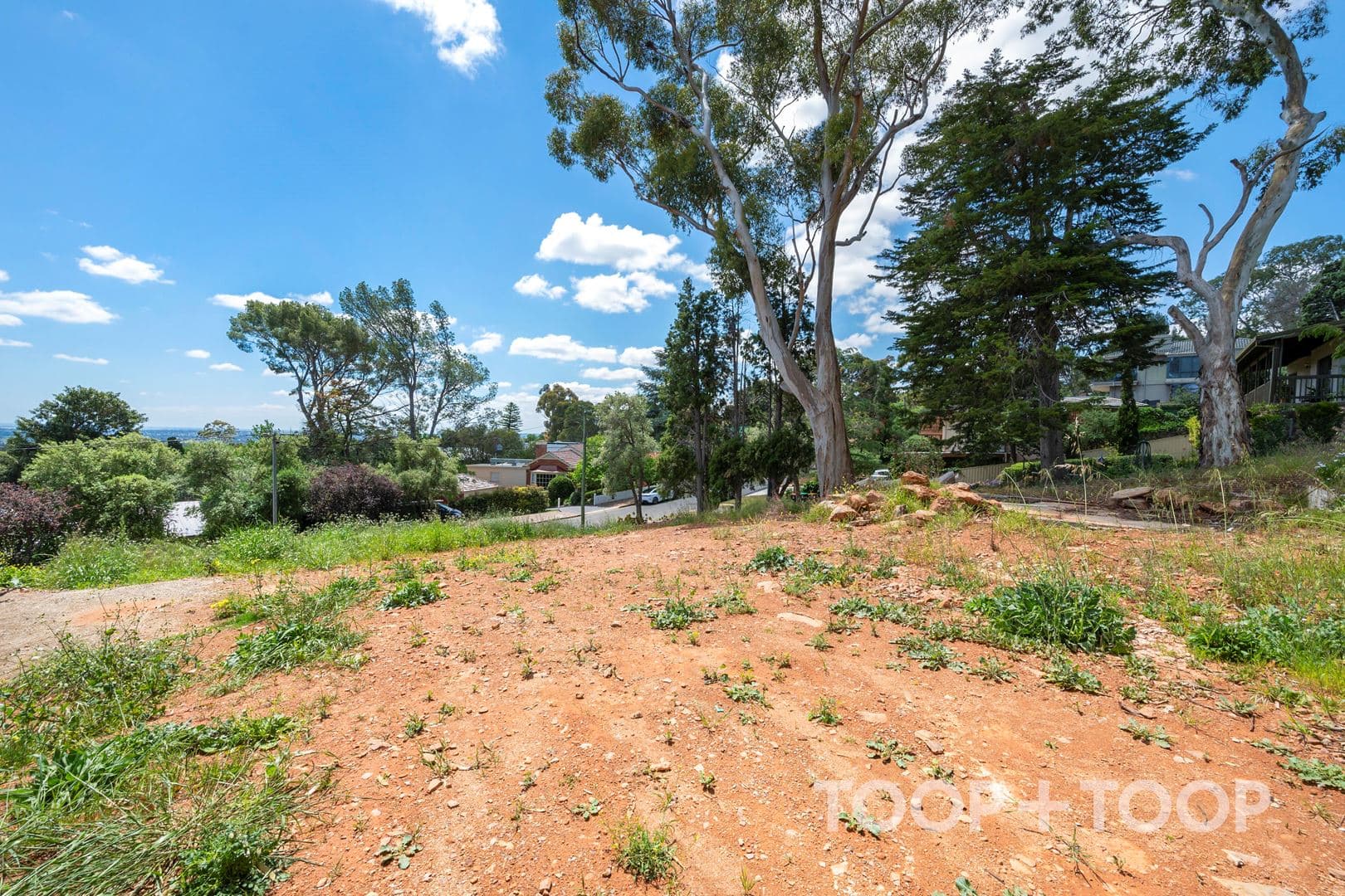 38 Tennyson Drive, Beaumont SA 5066, Beaumont - Thumbnail 8