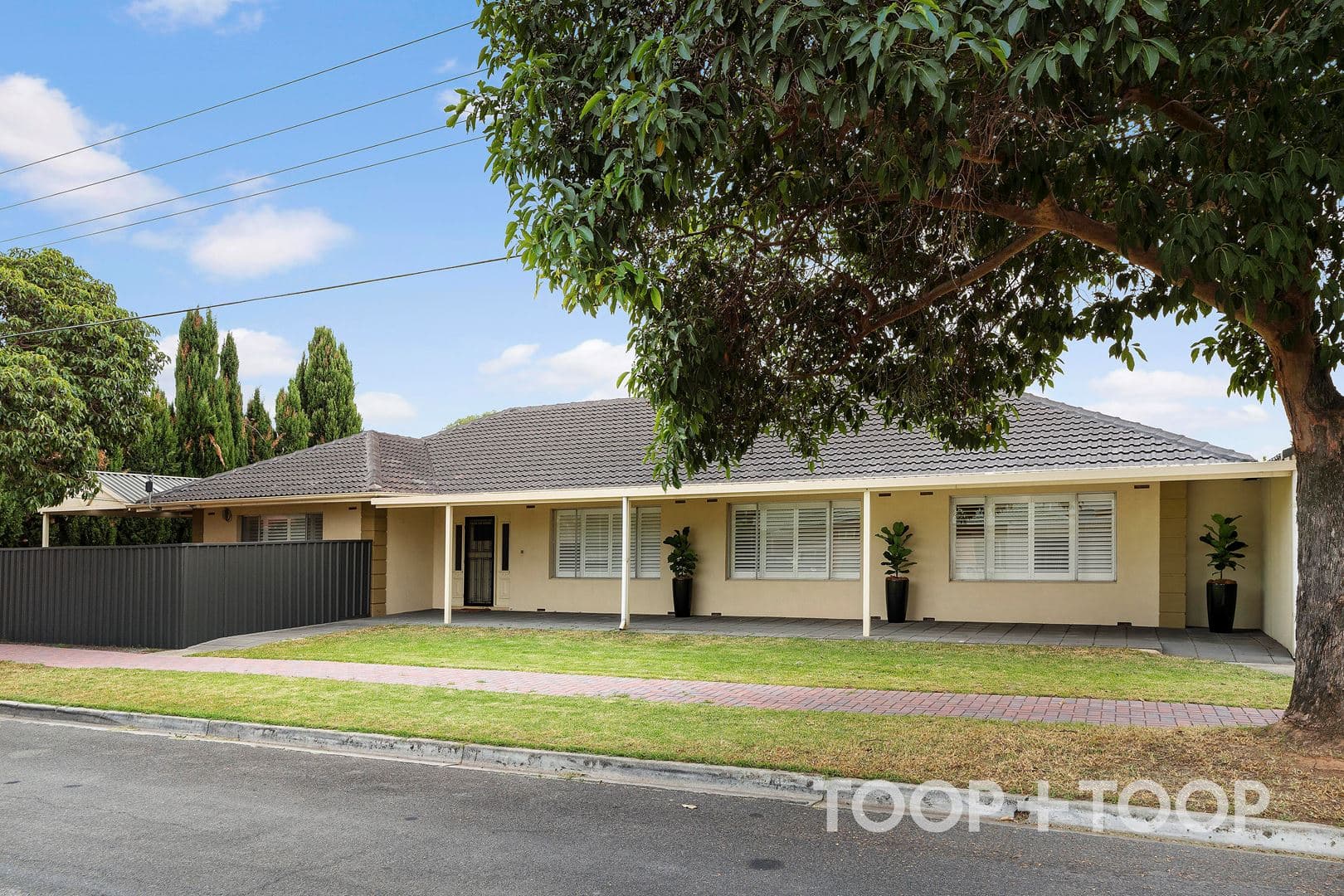 30 Ashbrook Avenue, Payneham SA 5070, Payneham - Thumbnail 8
