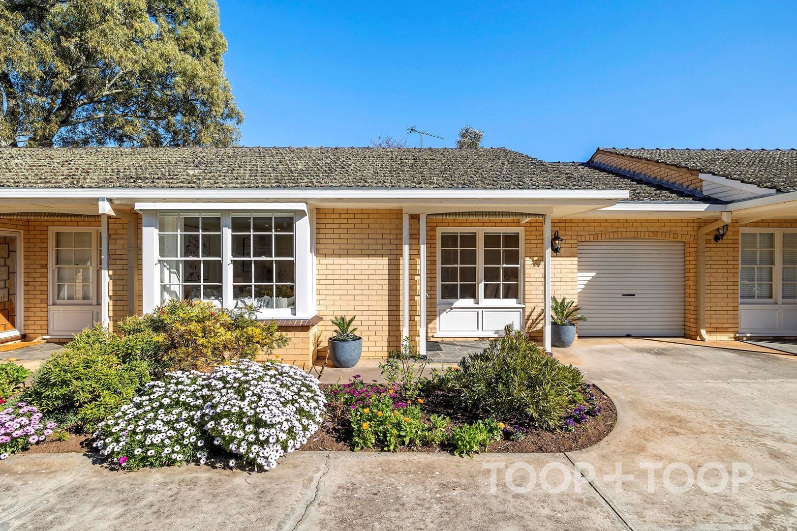 7 / 7 Grandview Avenue,Urrbrae SA 5064, Urrbrae - Image 1