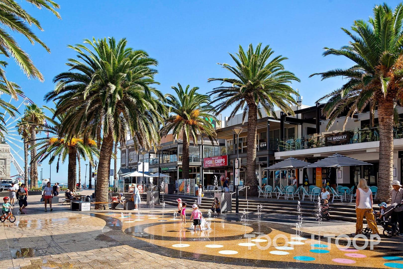 25 / 7 Holdfast Promenade, Glenelg SA 5045, Glenelg - Thumbnail 4