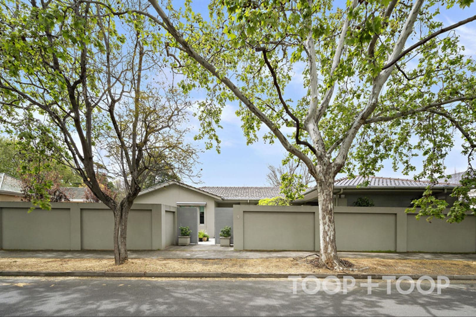 1 Elm Street,Unley Park SA 5061, Unley Park - Thumbnail 2