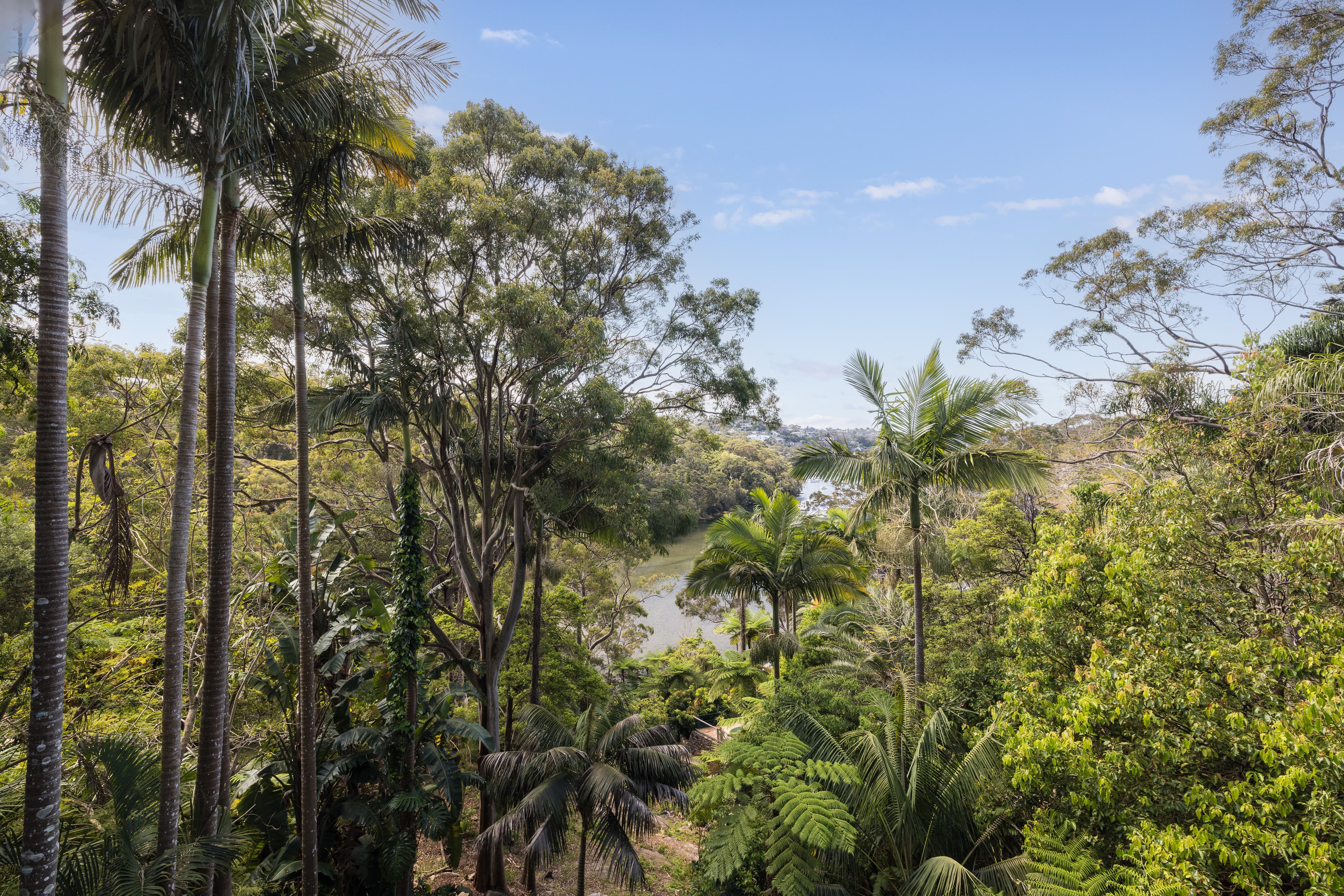 7 Noonbinna Crescent, Northbridge, NSW, 2063, Northbridge - Thumbnail 5