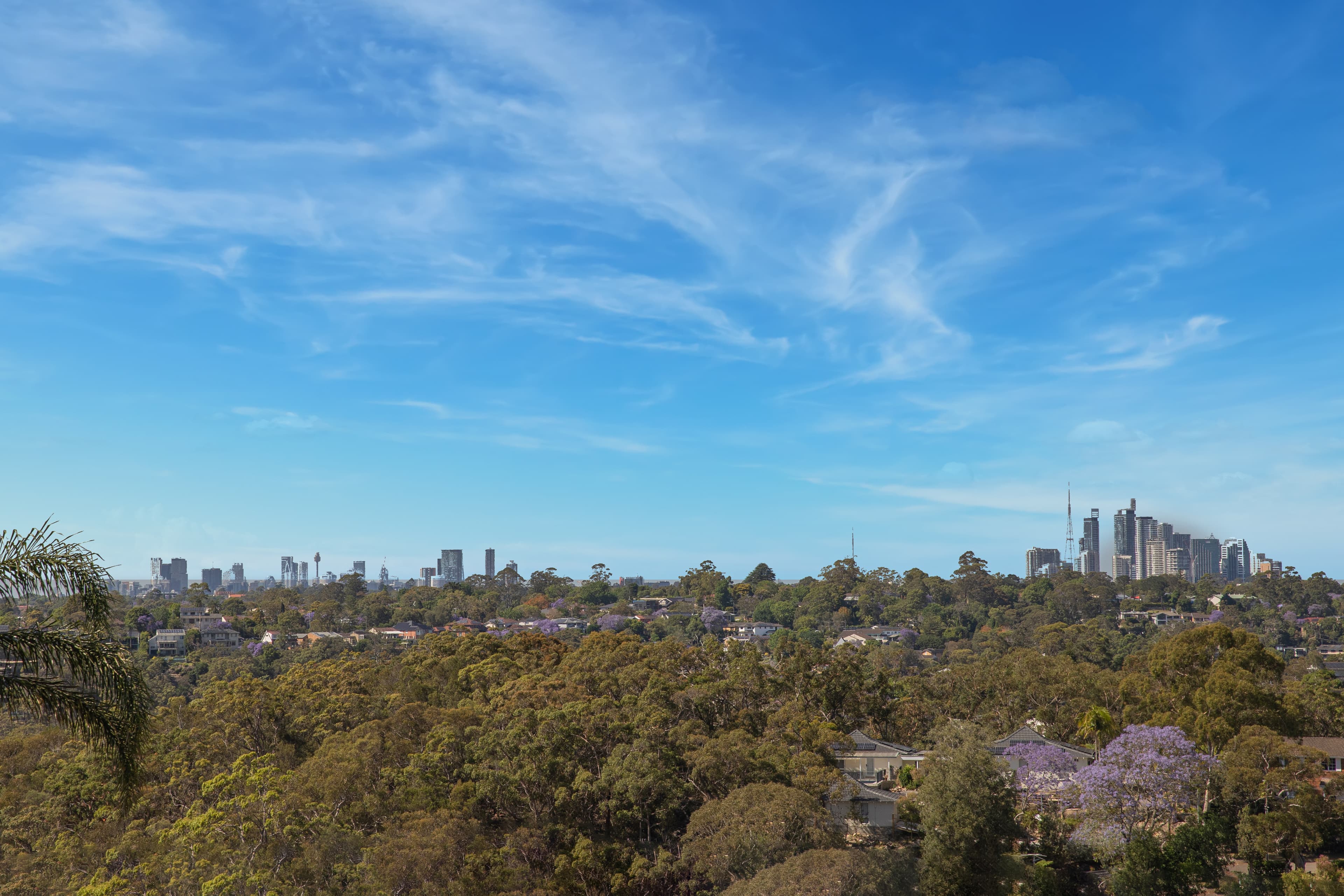 152 Koola Avenue, East Killara, NSW, 2071, East Killara - Thumbnail 8