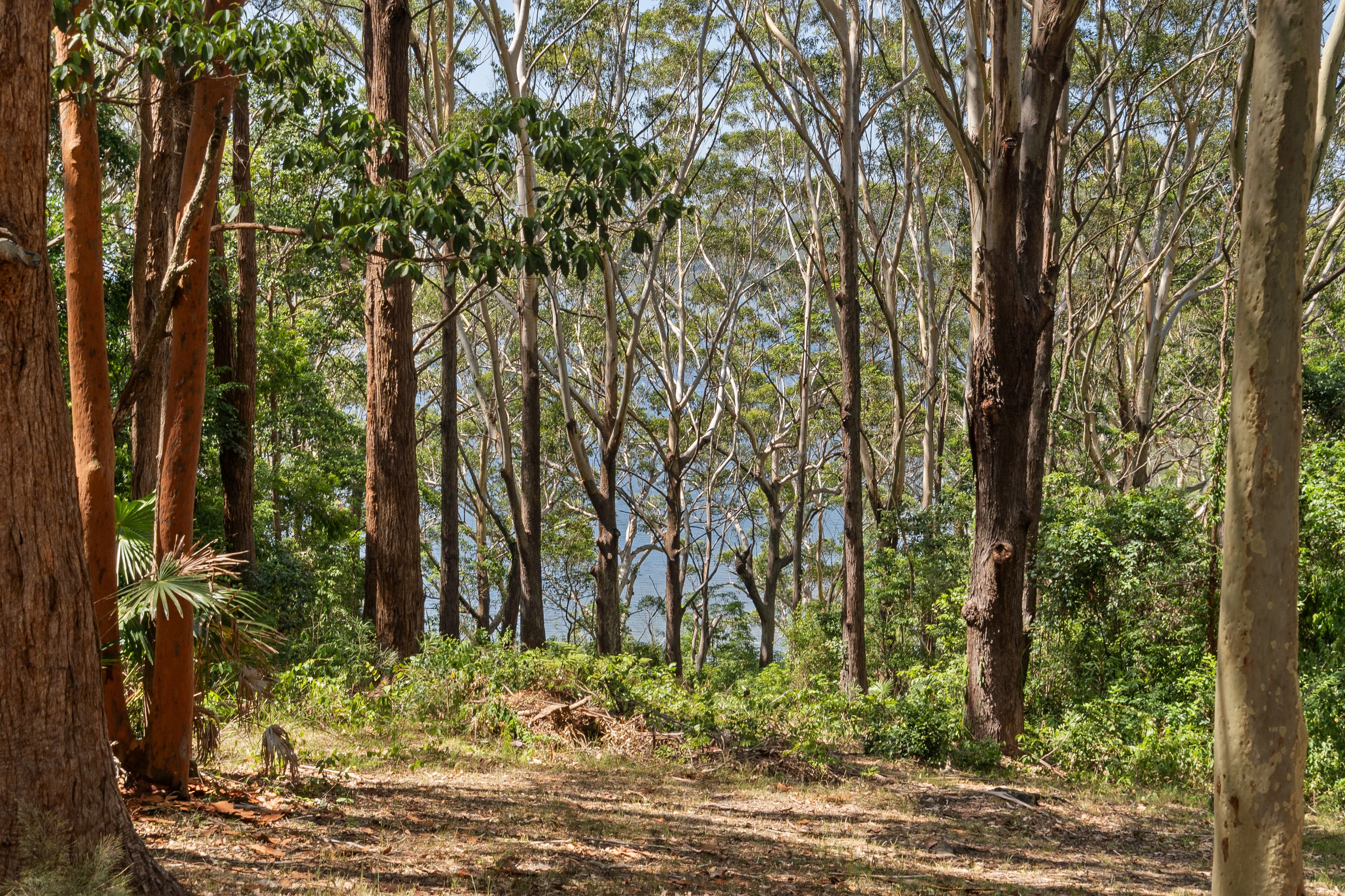 2 Orange Grove, Smiths Lake, NSW, 2428, Smiths Lake - Thumbnail 4