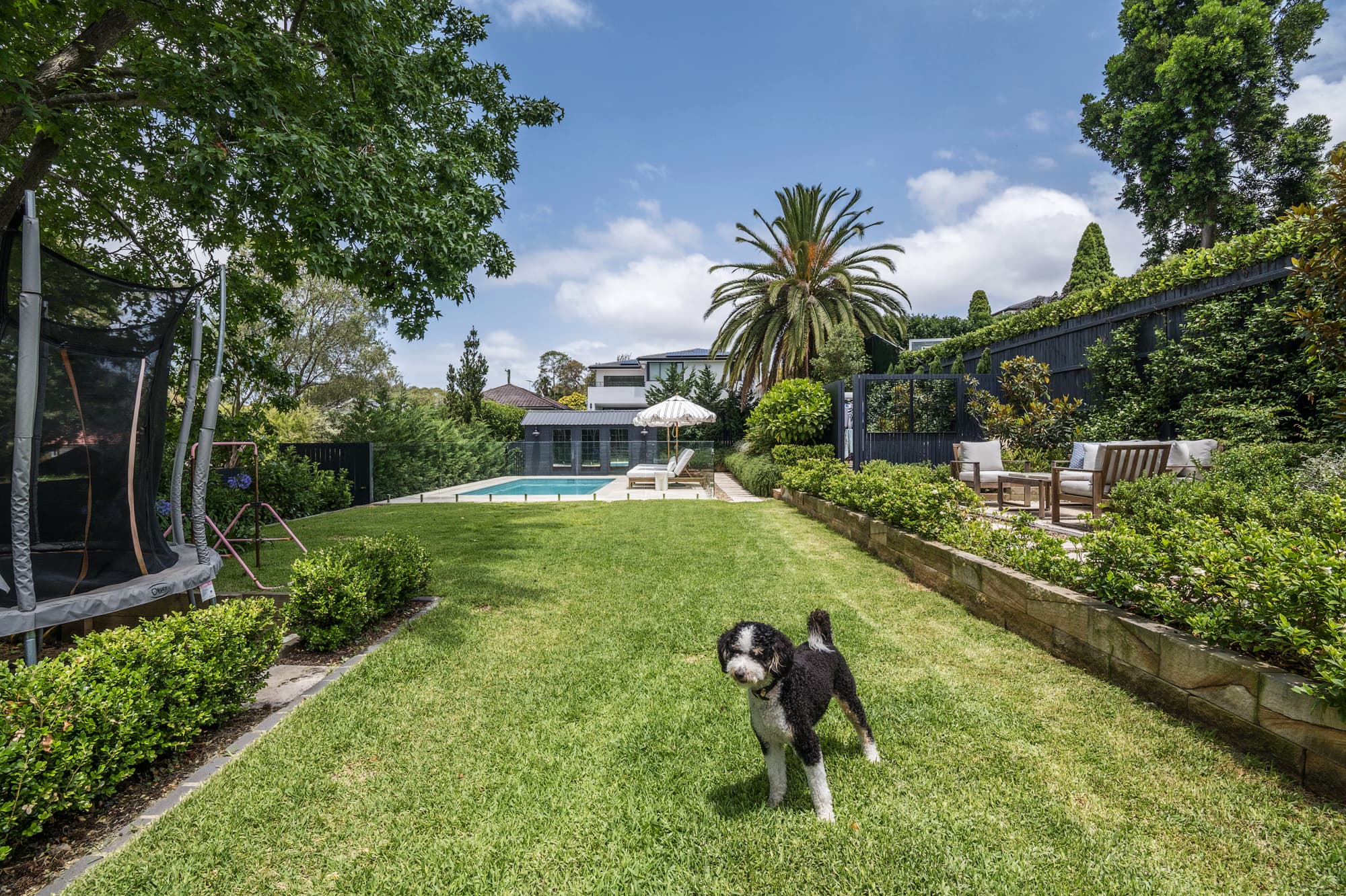 23 Earl Street, Roseville, NSW, 2069, Roseville - Thumbnail 4