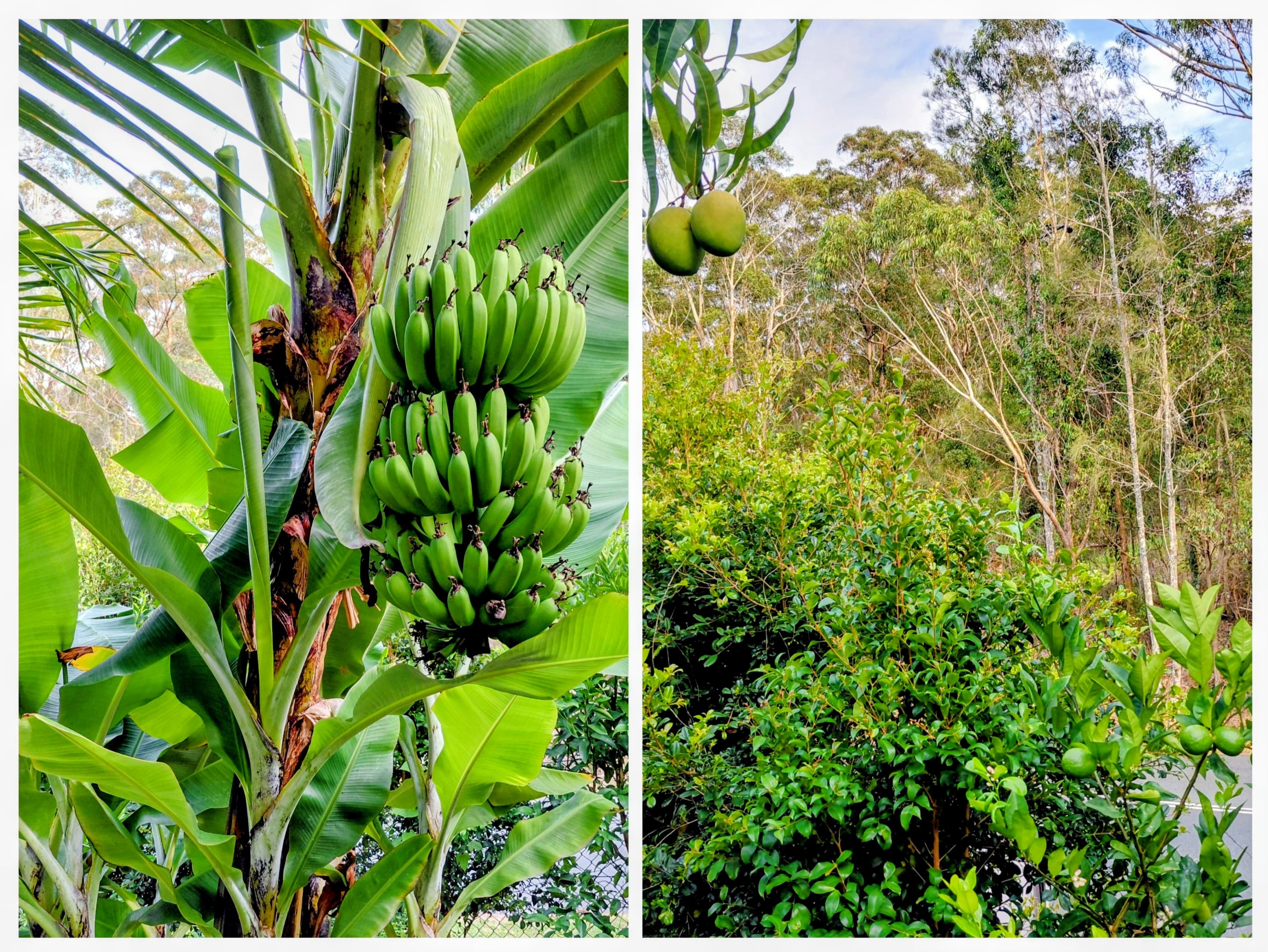 1 The Lakes Way, Elizabeth Beach, NSW, 2428, Elizabeth Beach - Thumbnail 4