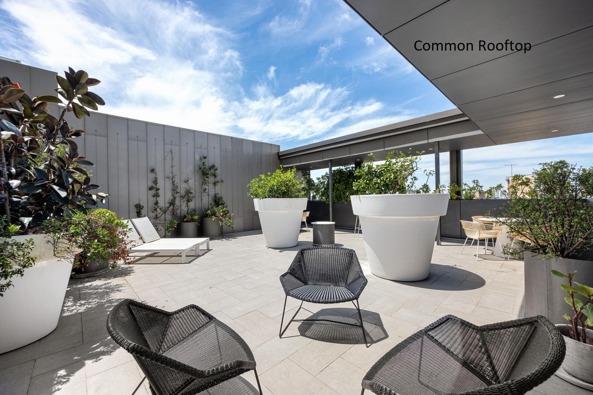 406/37 Bayswater Road, Potts Point, Potts Point - Thumbnail 2