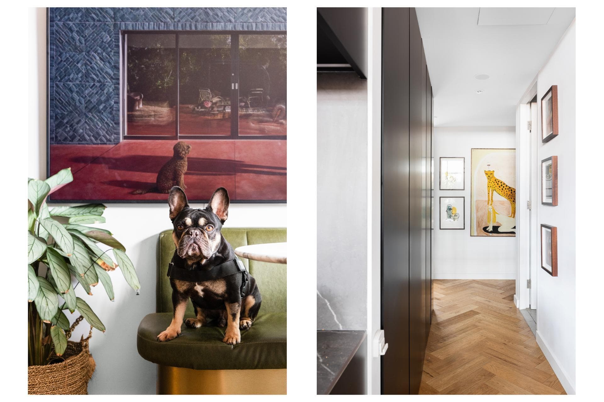 406/37 Bayswater Road, Potts Point, Potts Point - Thumbnail 6