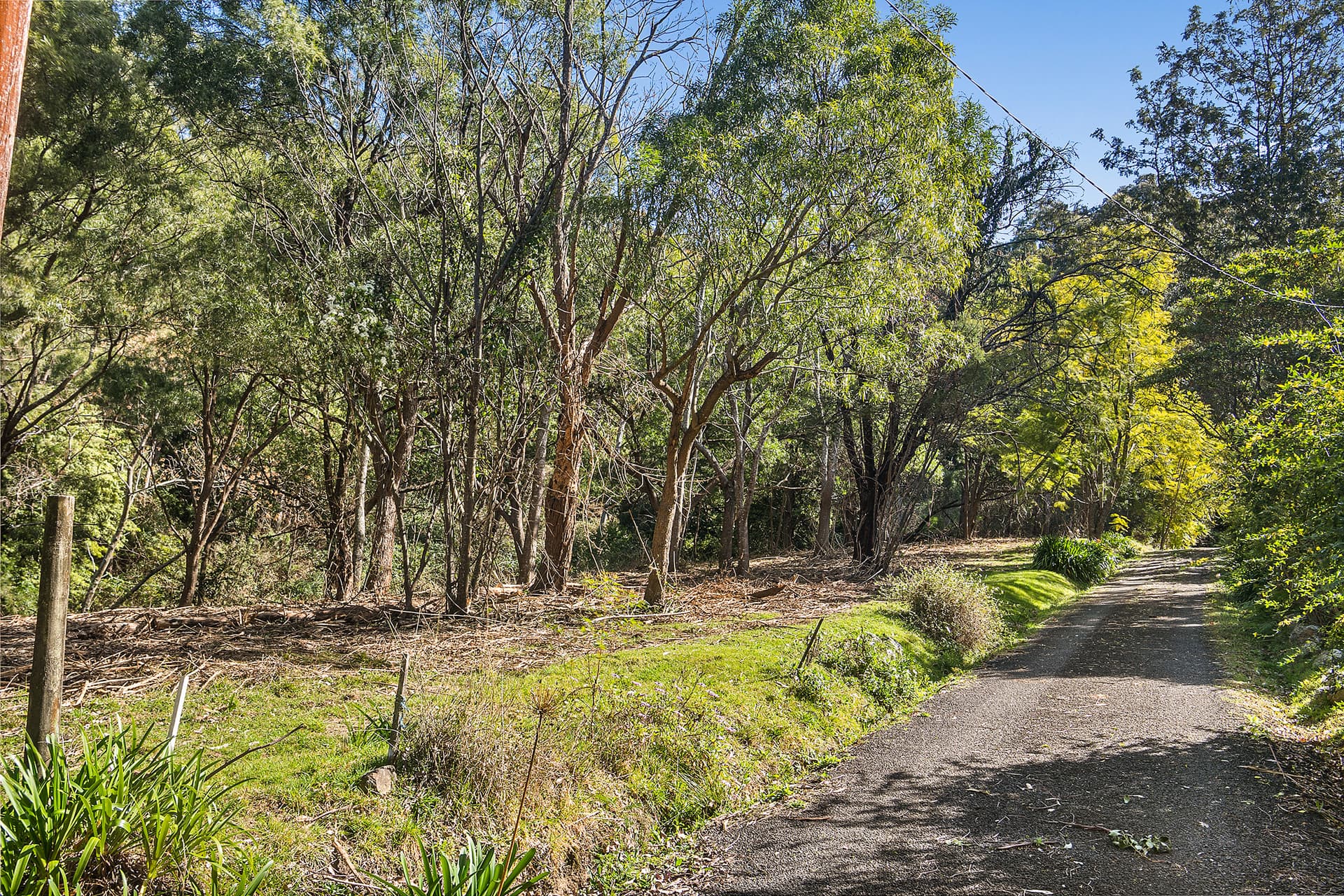 Red Cedar Lane, Meroo Meadow, Meroo Meadow - Image 1