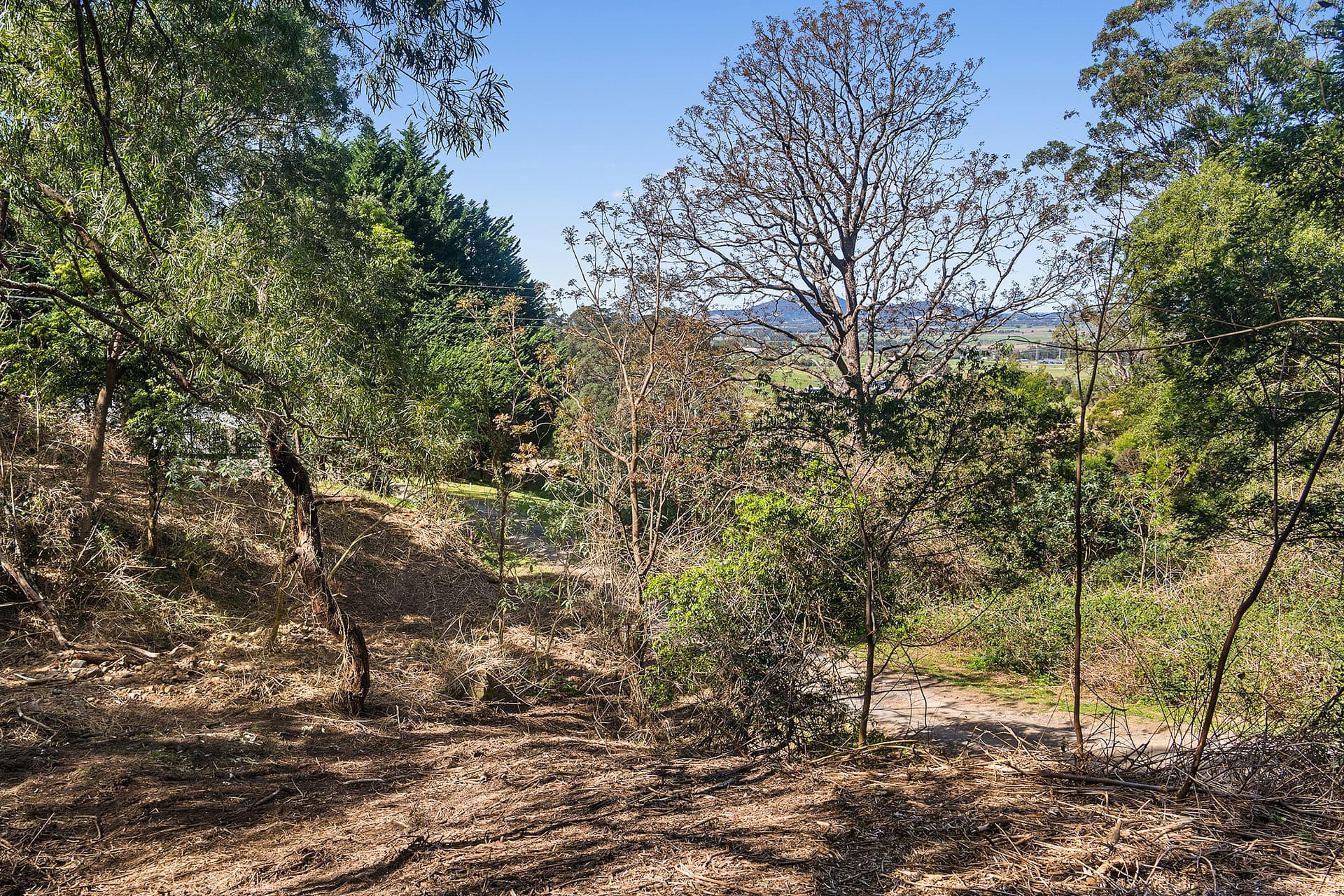 Red Cedar Lane, Meroo Meadow, Meroo Meadow - Thumbnail 4