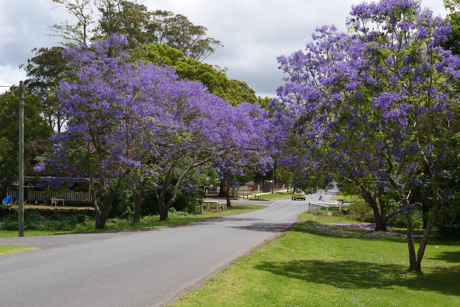 Red Cedar Lane, Meroo Meadow, Meroo Meadow - Thumbnail 8