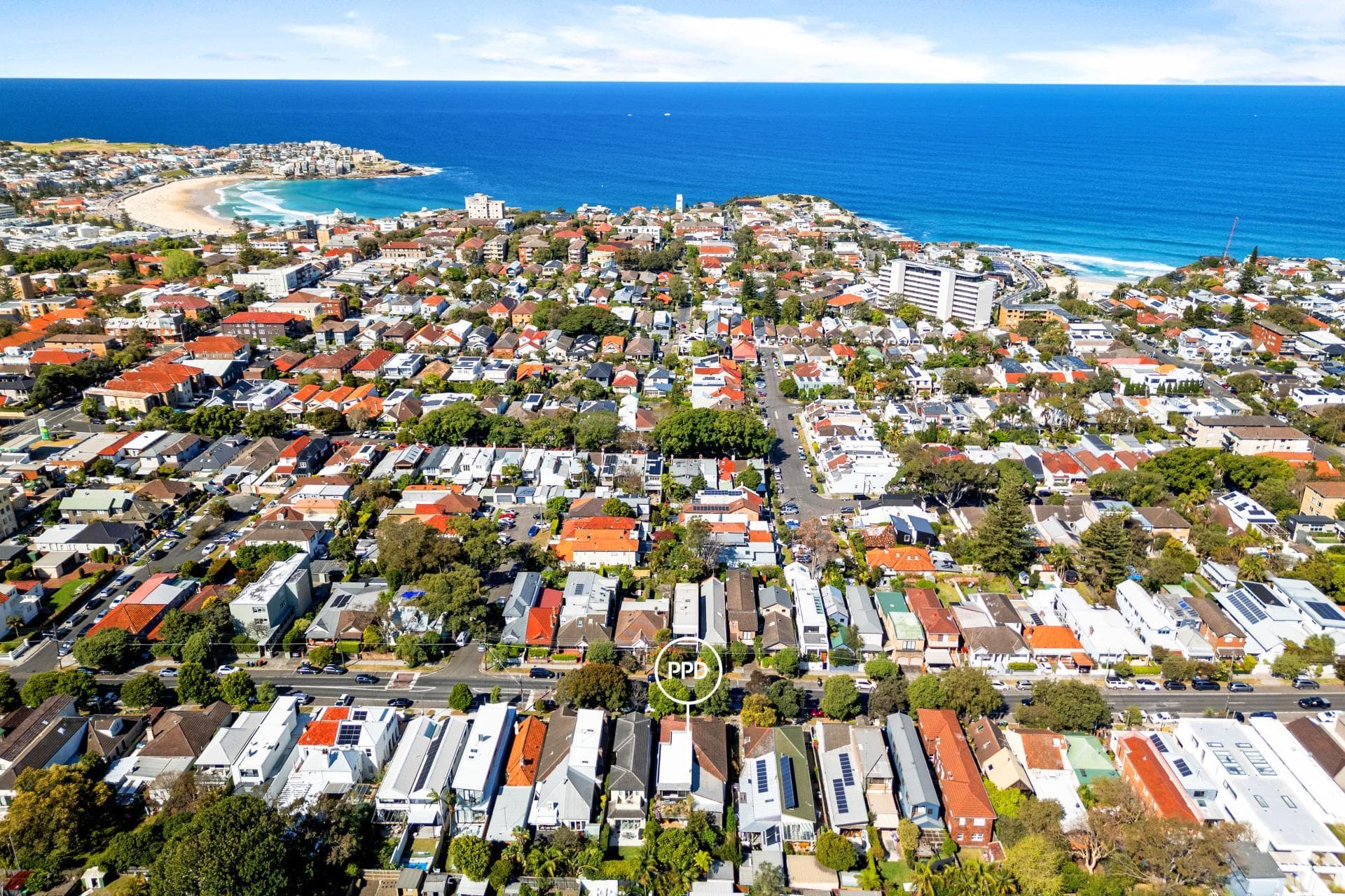 49 Watson Street, Bondi, Bondi - Thumbnail 3