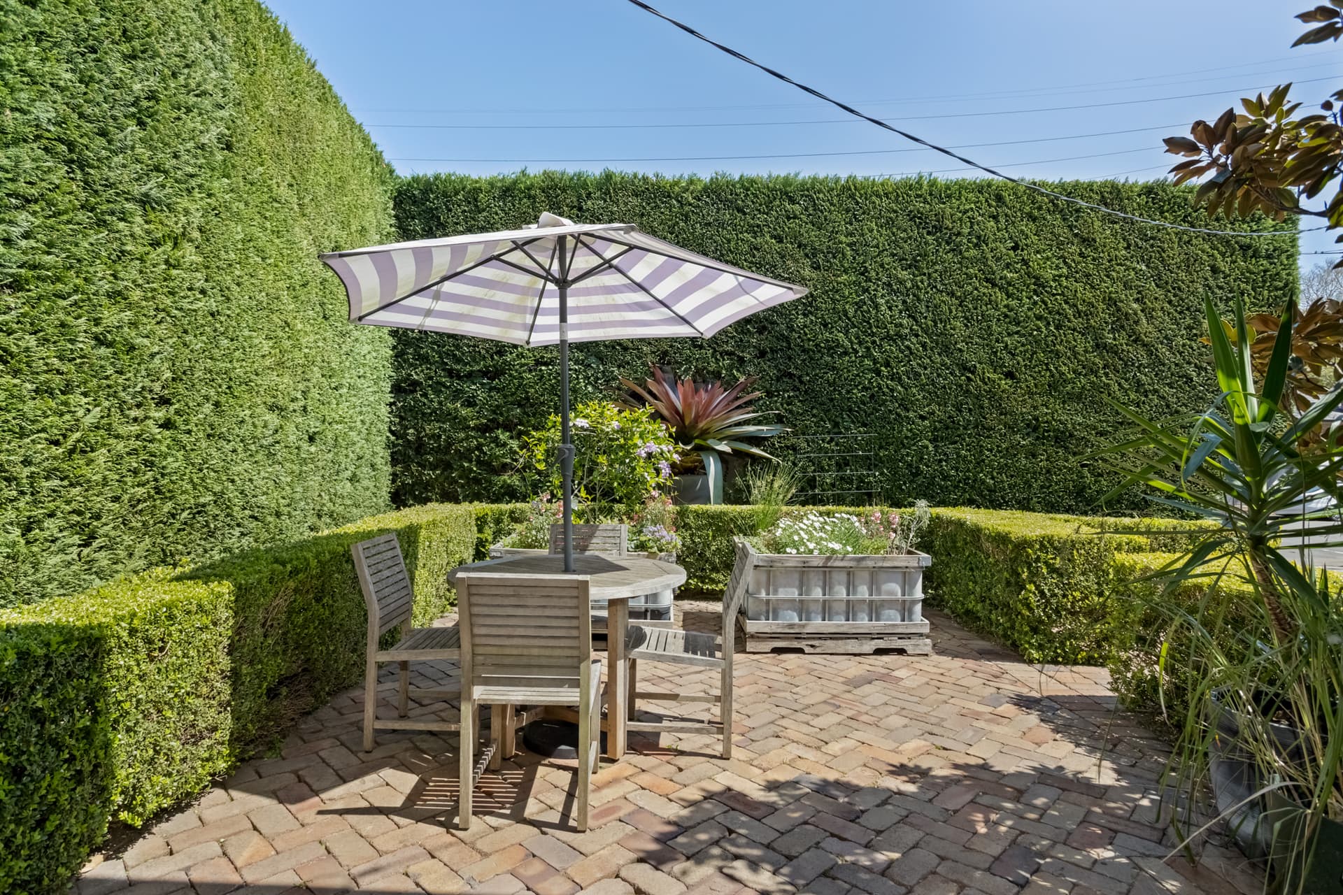 1 William Street, Randwick, Randwick - Thumbnail 5