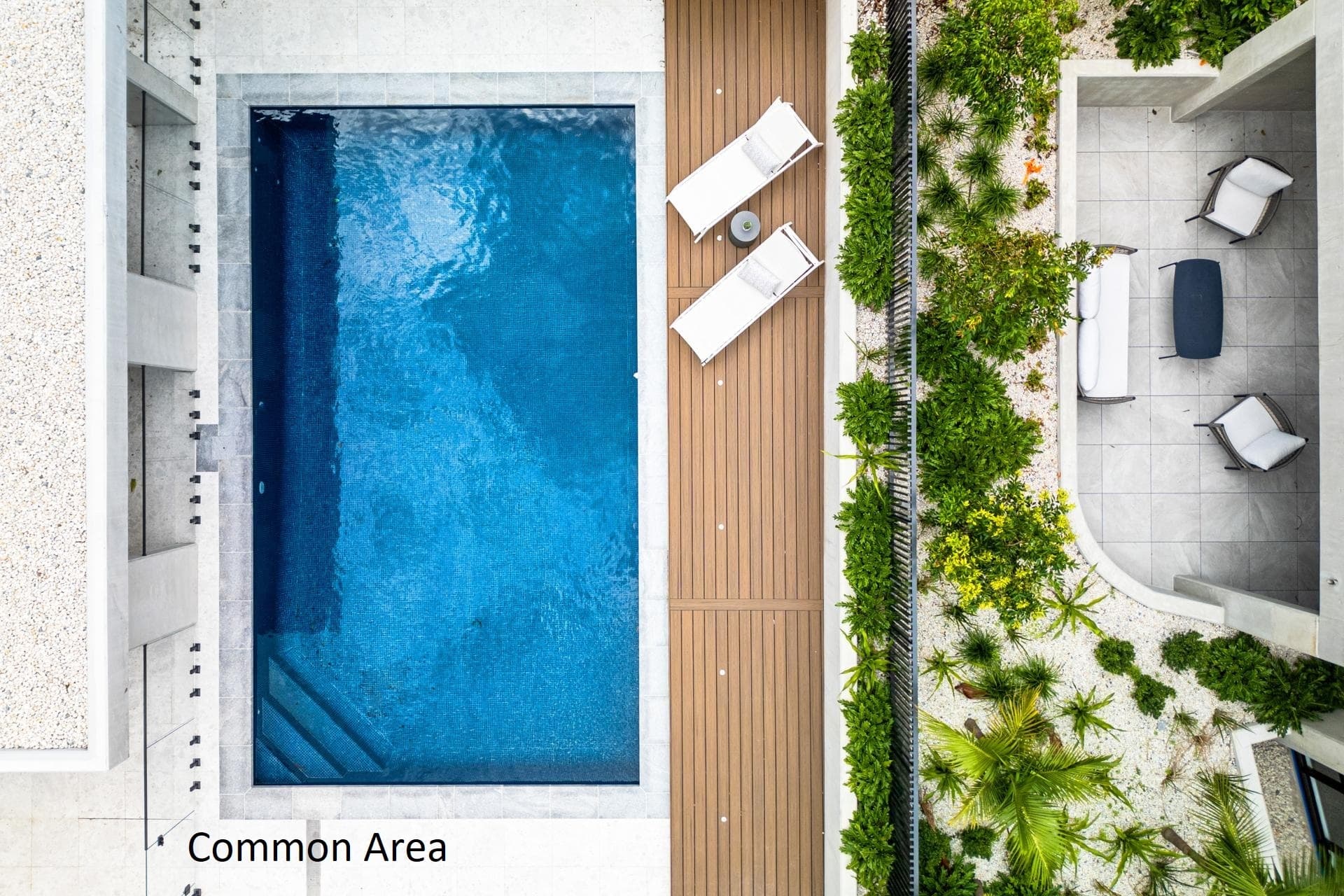 3/50 Old South Head Road, Vaucluse, Vaucluse - Thumbnail 5