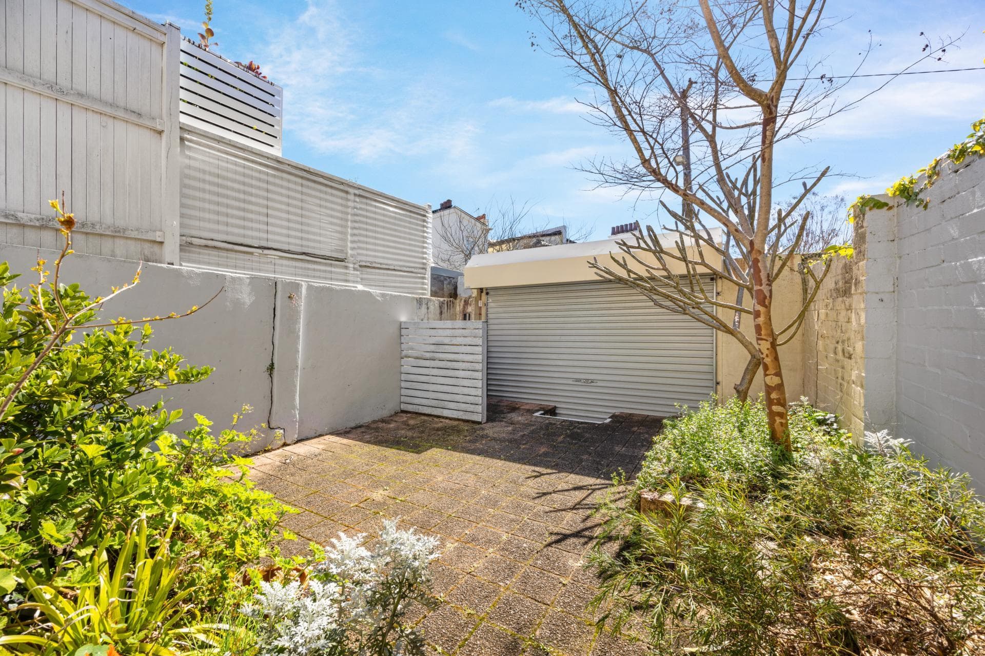 26 Stafford Street, Paddington, Paddington - Thumbnail 3