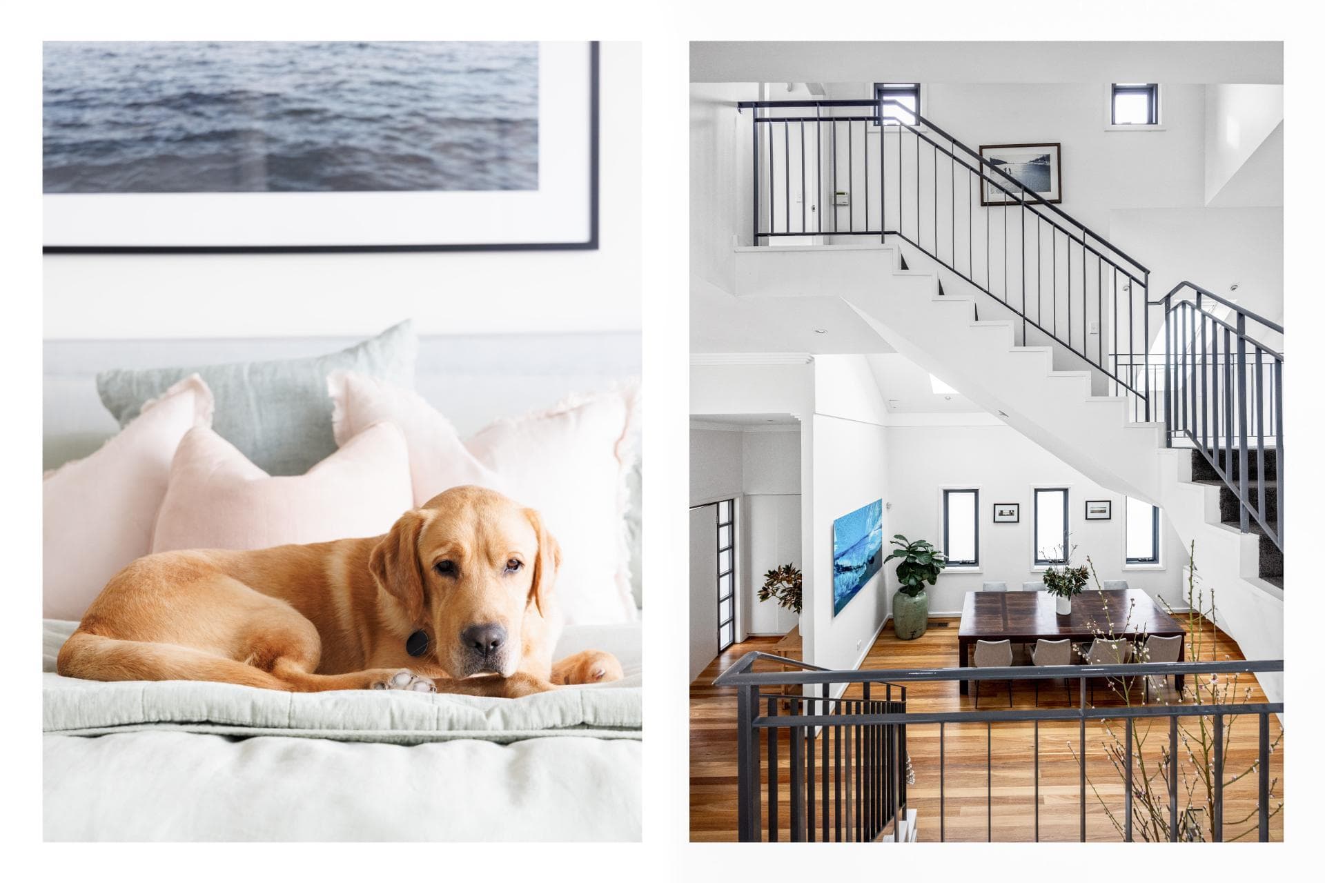 29 Myuna Road, Dover Heights, Dover Heights - Thumbnail 7