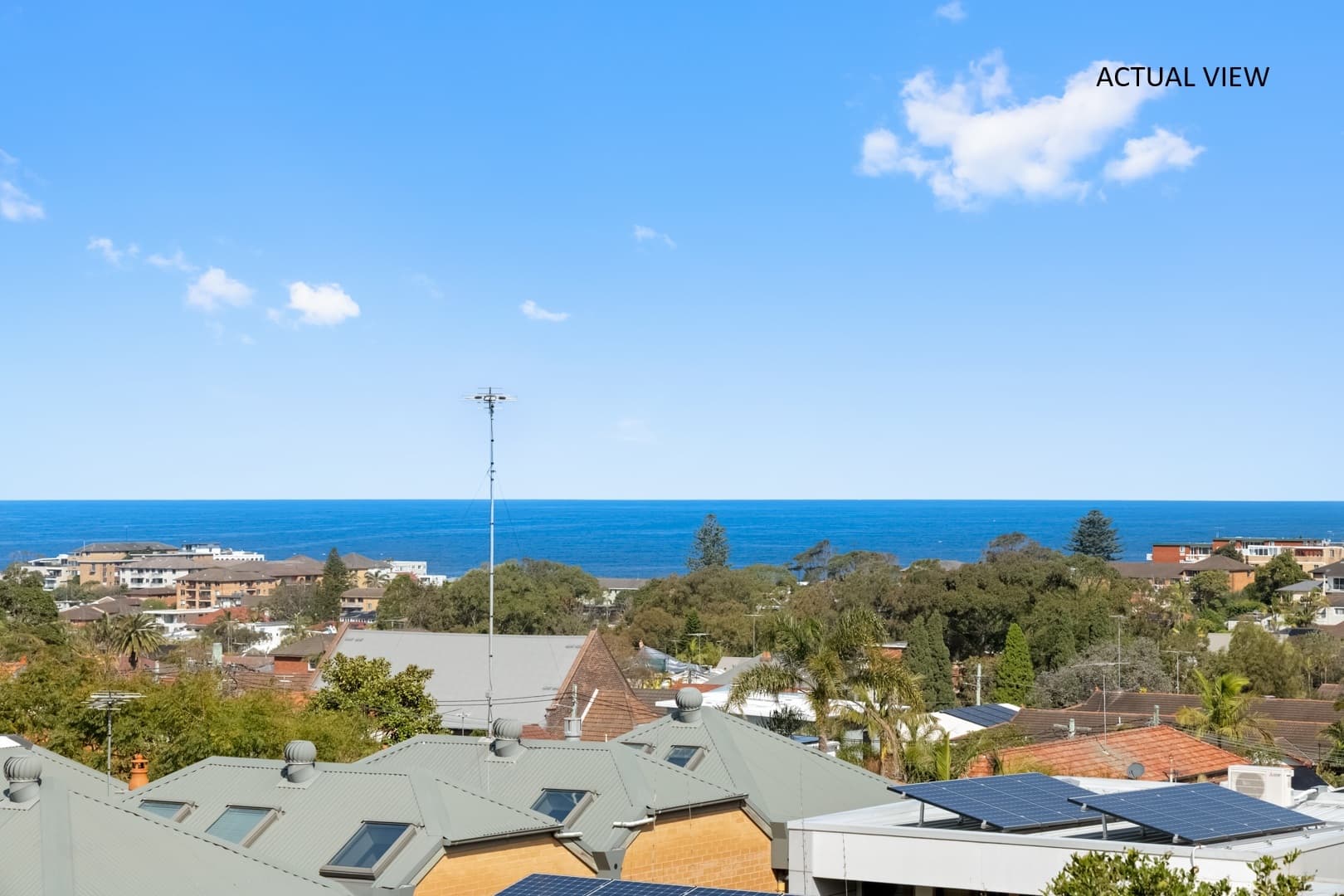 17 Kent Street Waverley Nsw, Waverley - Image 1