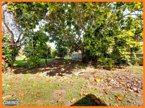 8/157 Victoria Road, Bellevue Hill, Bellevue Hill - Thumbnail 8