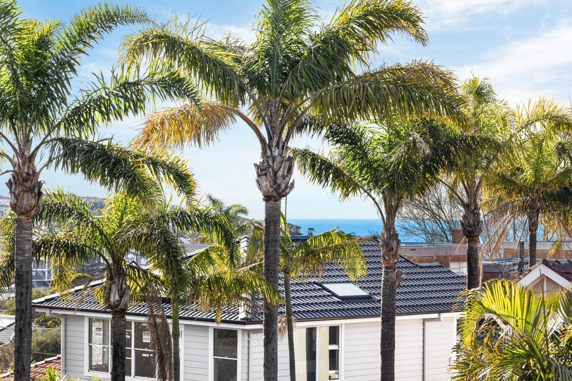 3 Captain Pipers Road, Vaucluse, Vaucluse - Thumbnail 6