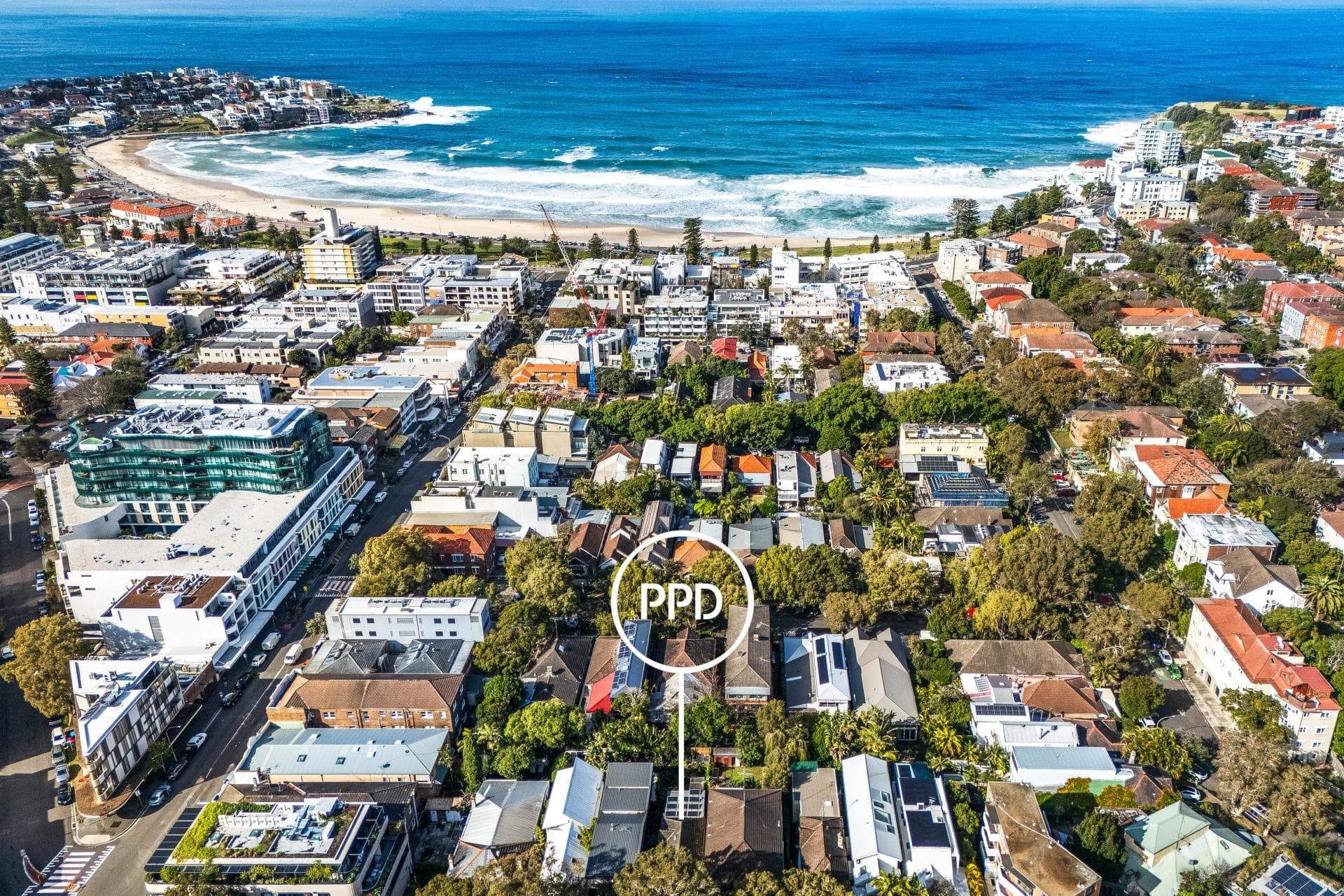 10 Cox Avenue, Bondi Beach, Bondi Beach - Thumbnail 8