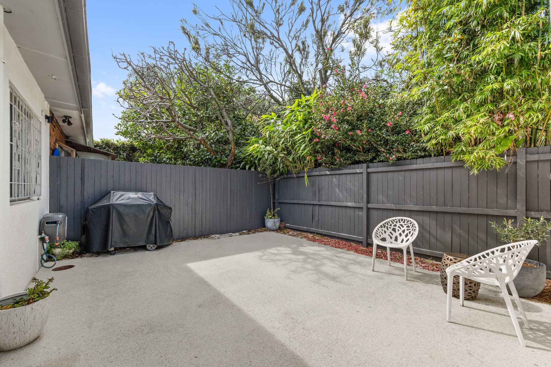 16 Niblick Street, North Bondi, North Bondi - Thumbnail 3