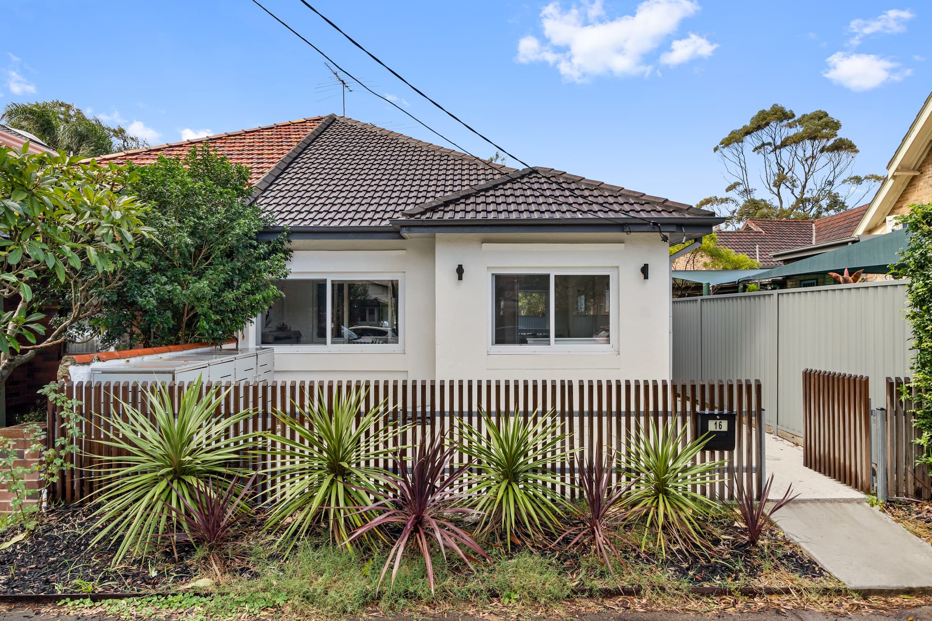 16 Niblick Street, North Bondi, North Bondi - Thumbnail 4