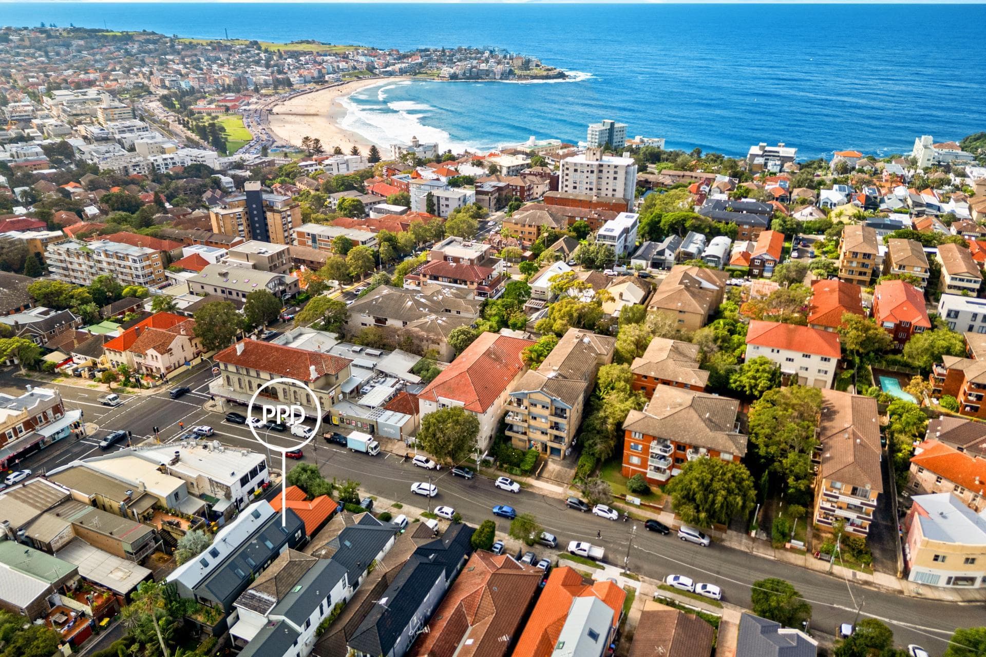 34 Denham Street, Bondi, Bondi - Thumbnail 7