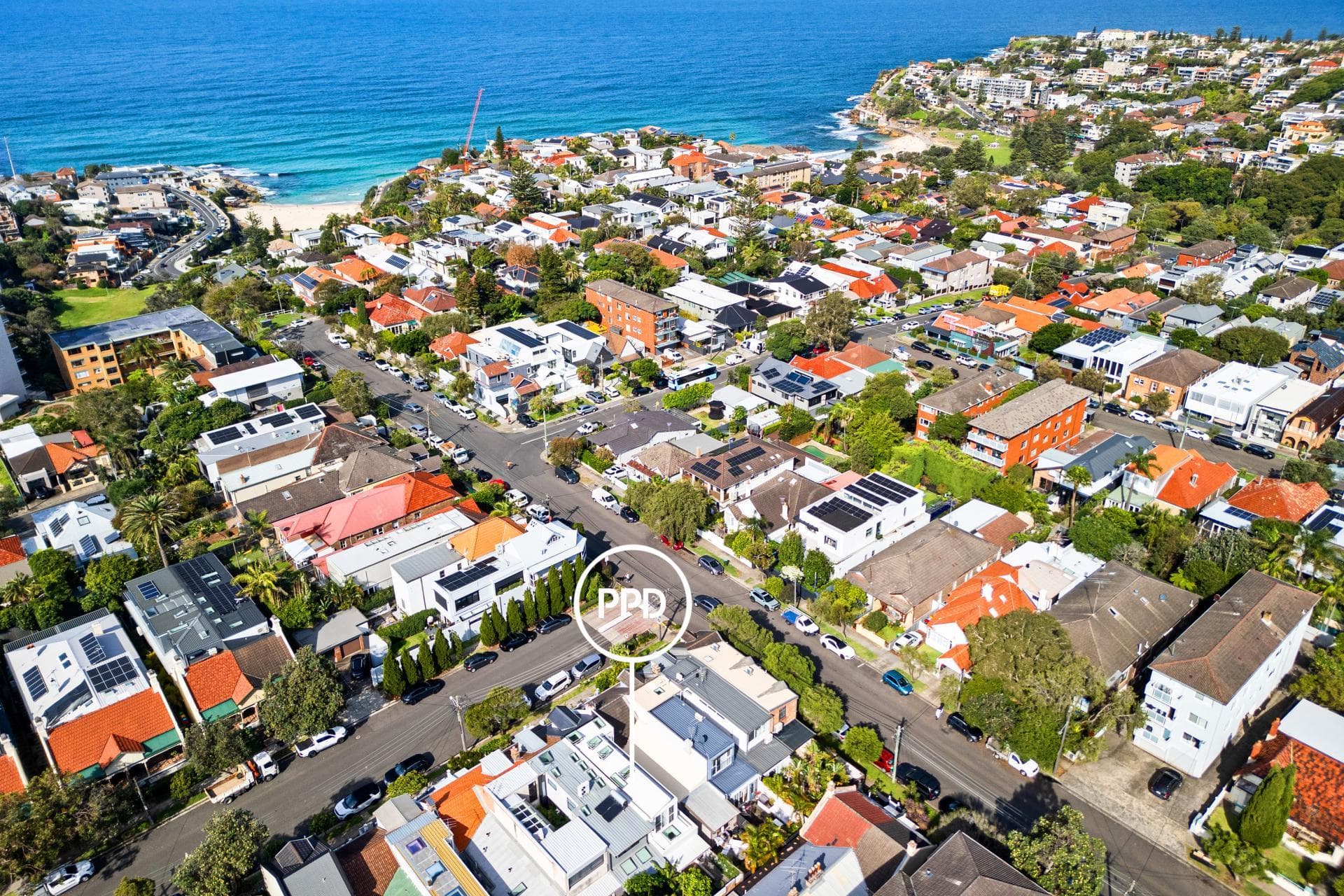 9 Tasman Street, Bondi, Bondi - Thumbnail 3